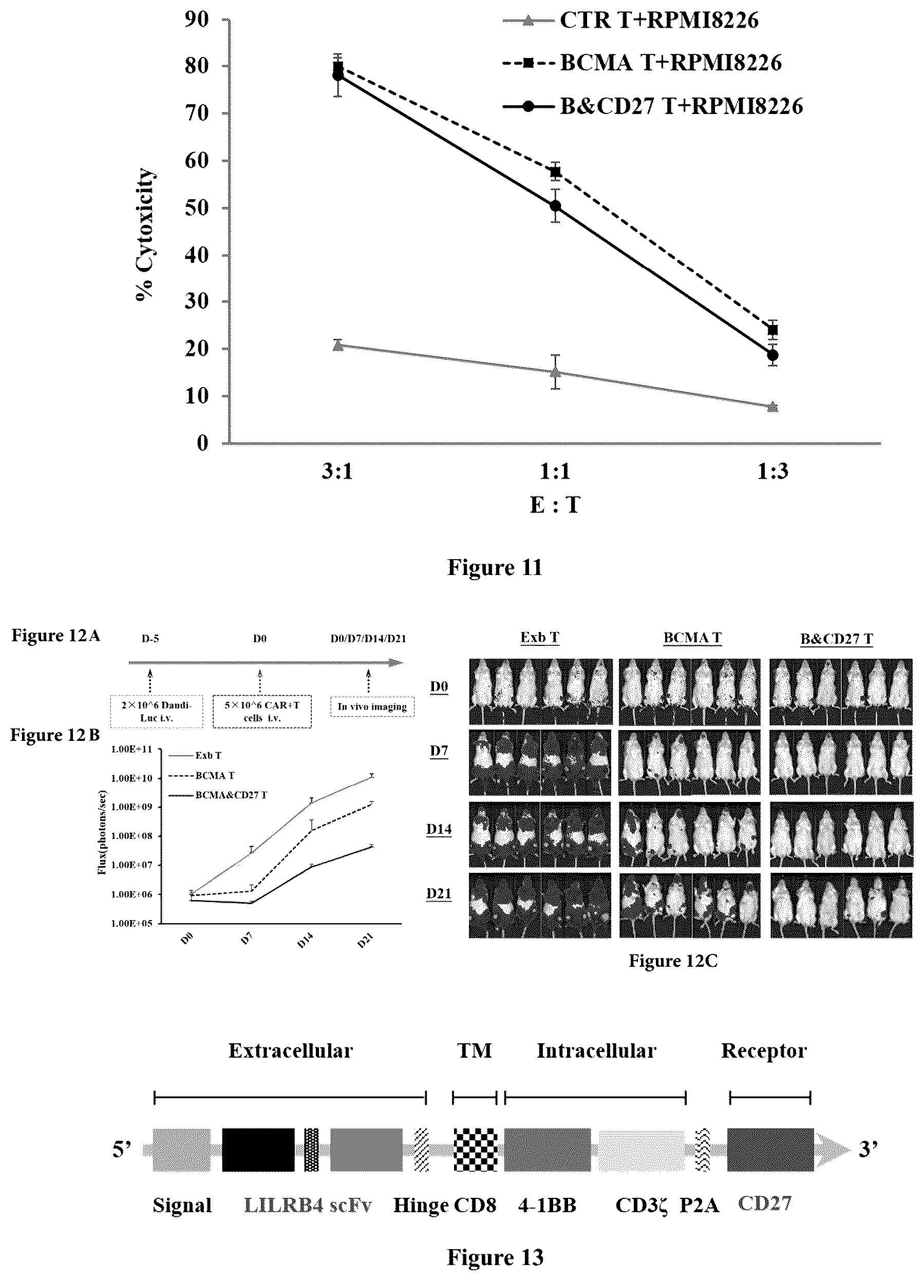 Patent US12552852 Figure 5 – Chimeric antigen receptor t lymphocyte for treating tumors, preparation method therefor, and use thereof