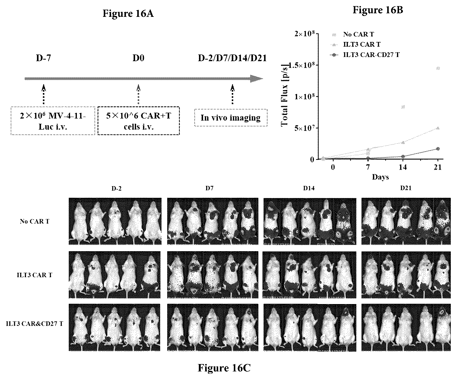 Patent US12552852 Figure 7 – Chimeric antigen receptor t lymphocyte for treating tumors, preparation method therefor, and use thereof