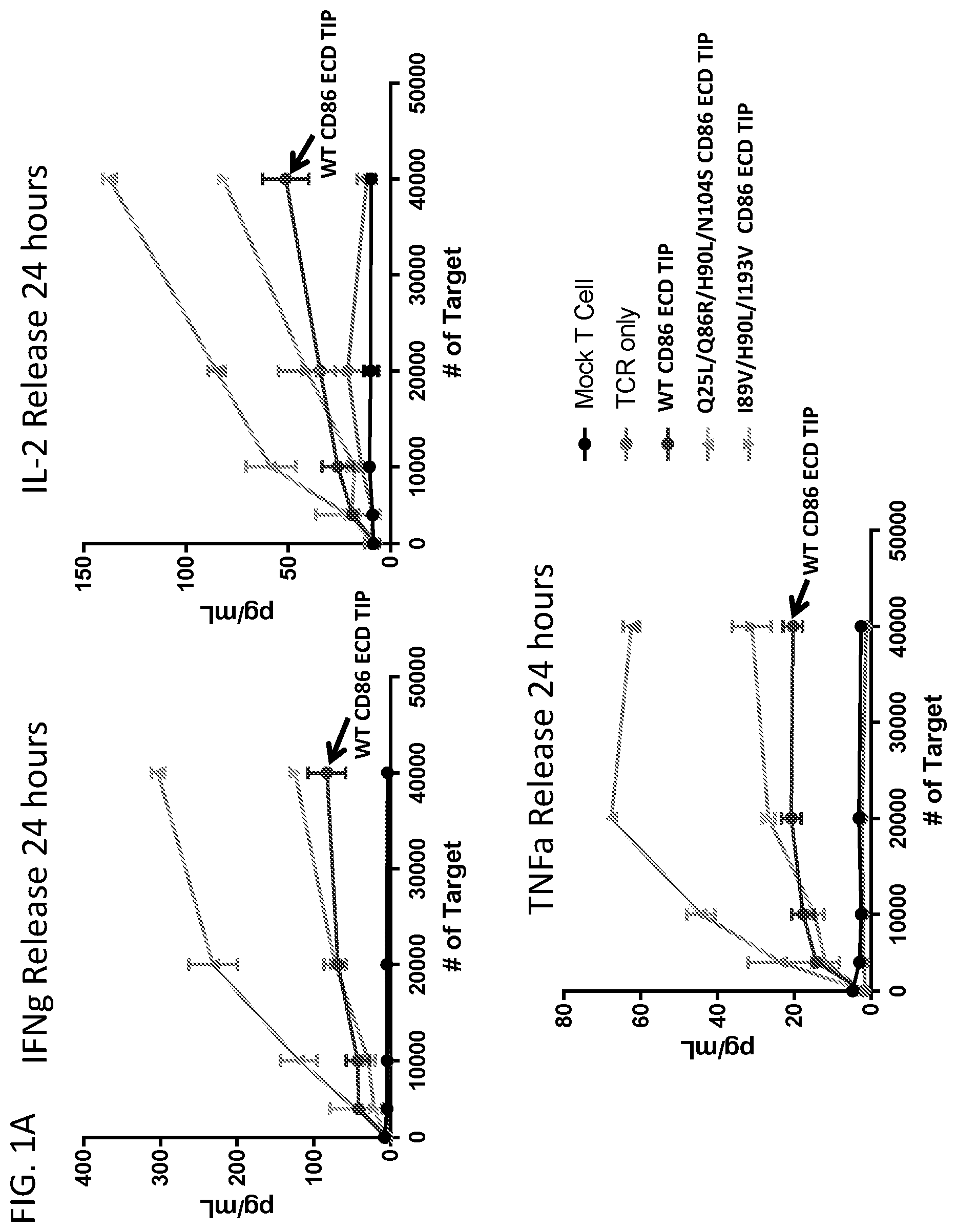 Patent US12552853 Figure 1 – CD86 variant immunomodulatory proteins and uses thereof
