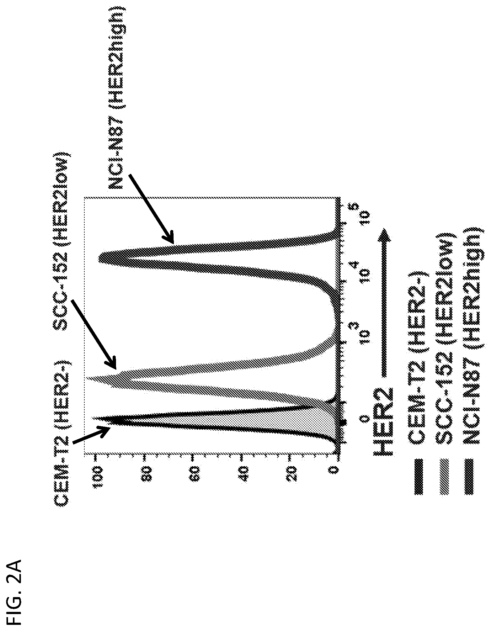 Patent US12552853 Figure 4 – CD86 variant immunomodulatory proteins and uses thereof