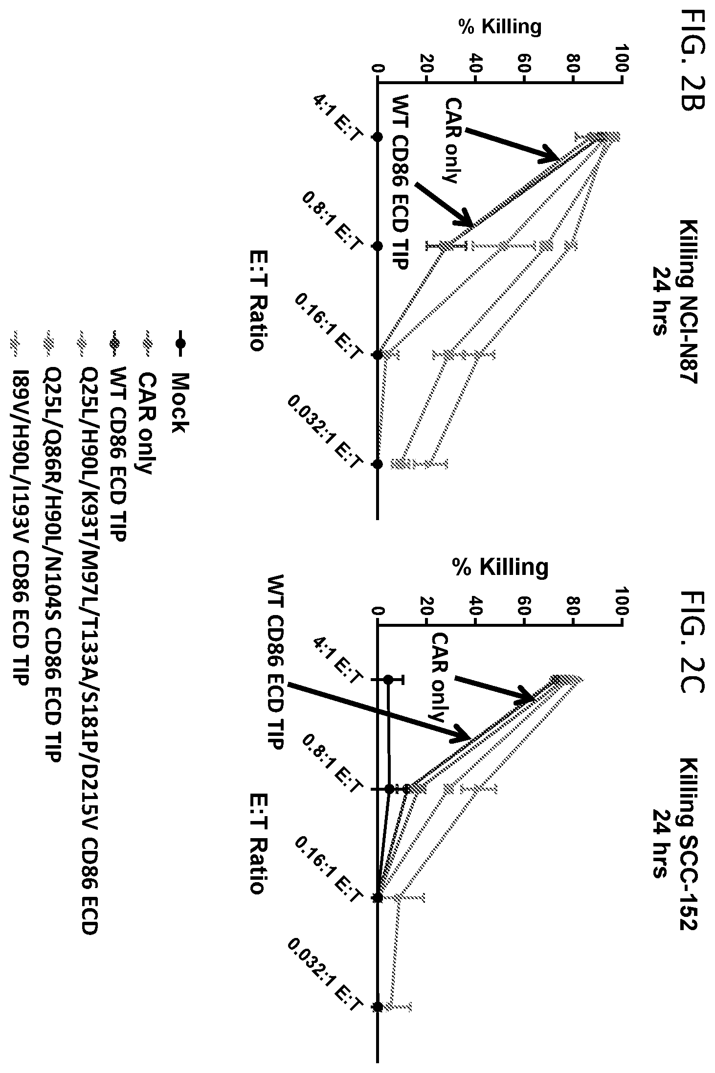 Patent US12552853 Figure 5 – CD86 variant immunomodulatory proteins and uses thereof