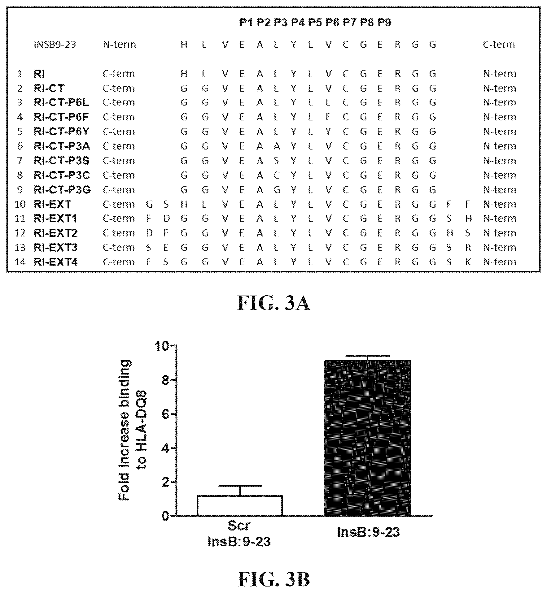 Patent US12552854 Figure 3 – Peptides that block presentation of antigenic islet peptides by HLA-DQ8 and methods for treating type-1 diabetes