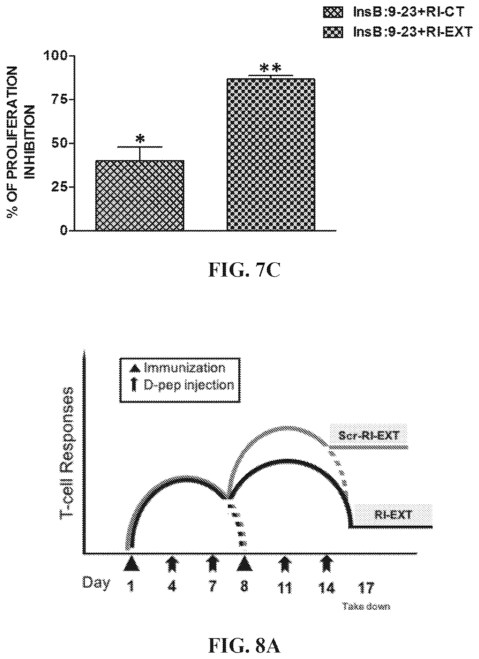 Patent US12552854 Figure 12 – Peptides that block presentation of antigenic islet peptides by HLA-DQ8 and methods for treating type-1 diabetes