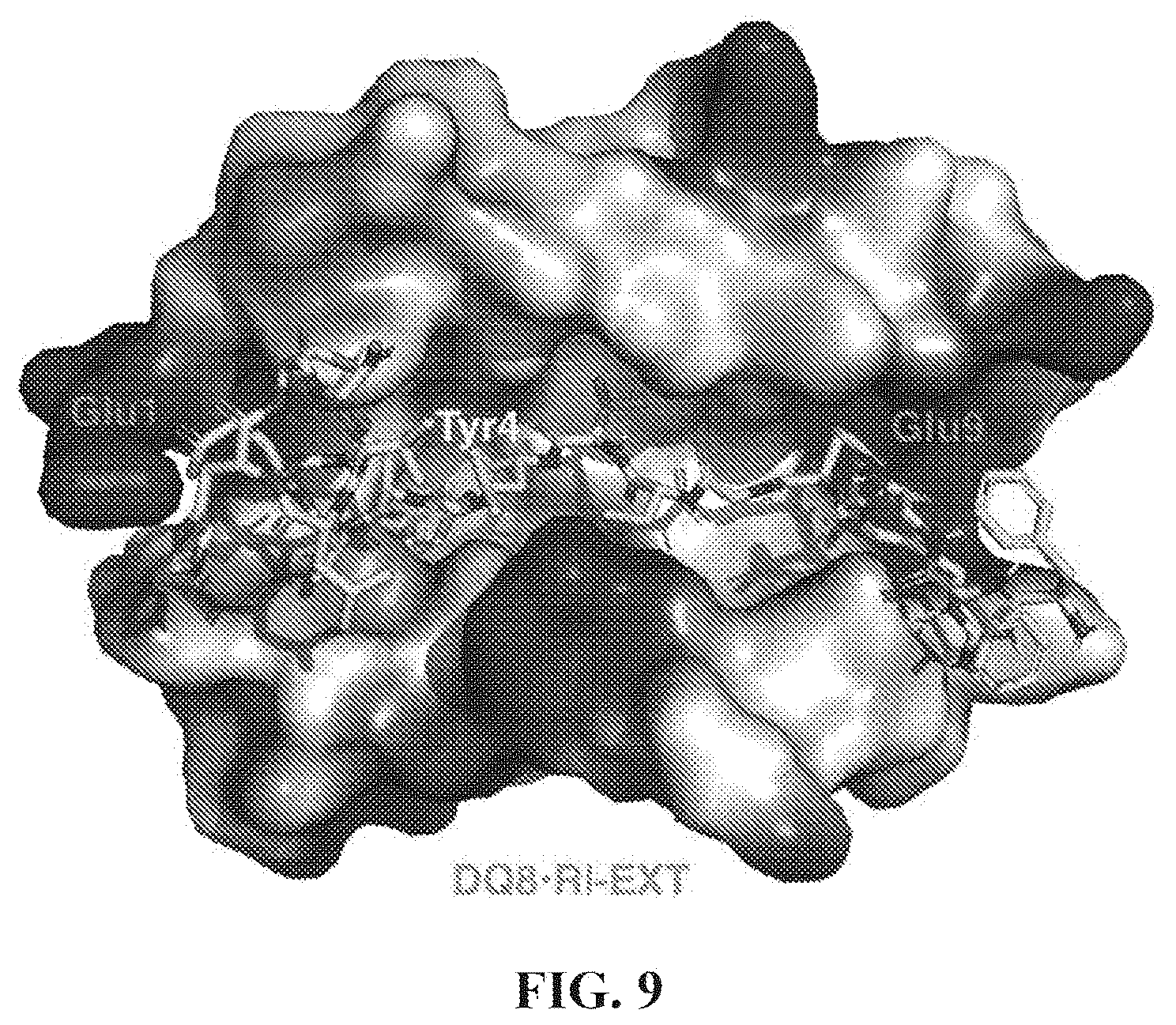 Patent US12552854 Figure 14 – Peptides that block presentation of antigenic islet peptides by HLA-DQ8 and methods for treating type-1 diabetes