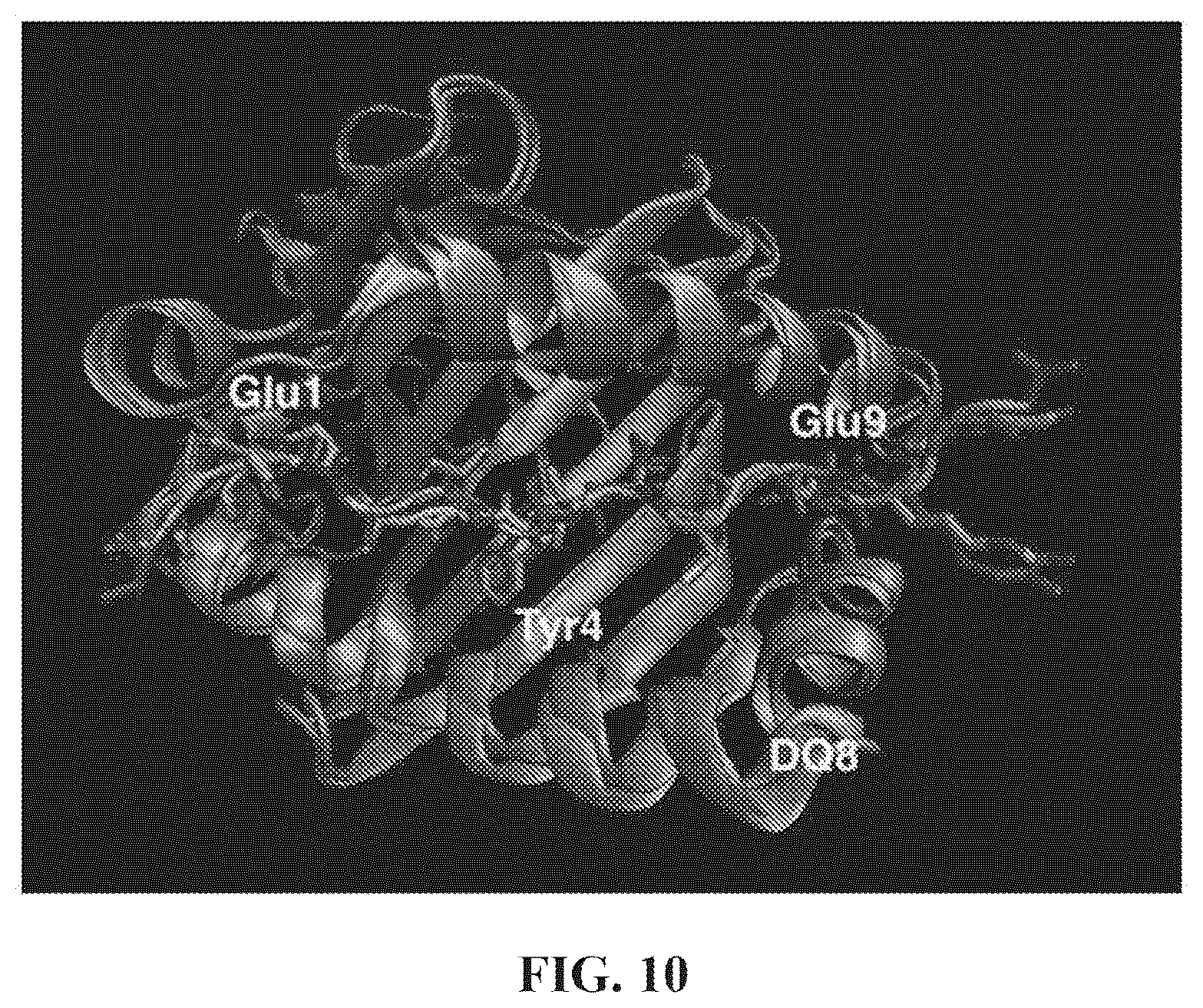 Patent US12552854 Figure 15 – Peptides that block presentation of antigenic islet peptides by HLA-DQ8 and methods for treating type-1 diabetes