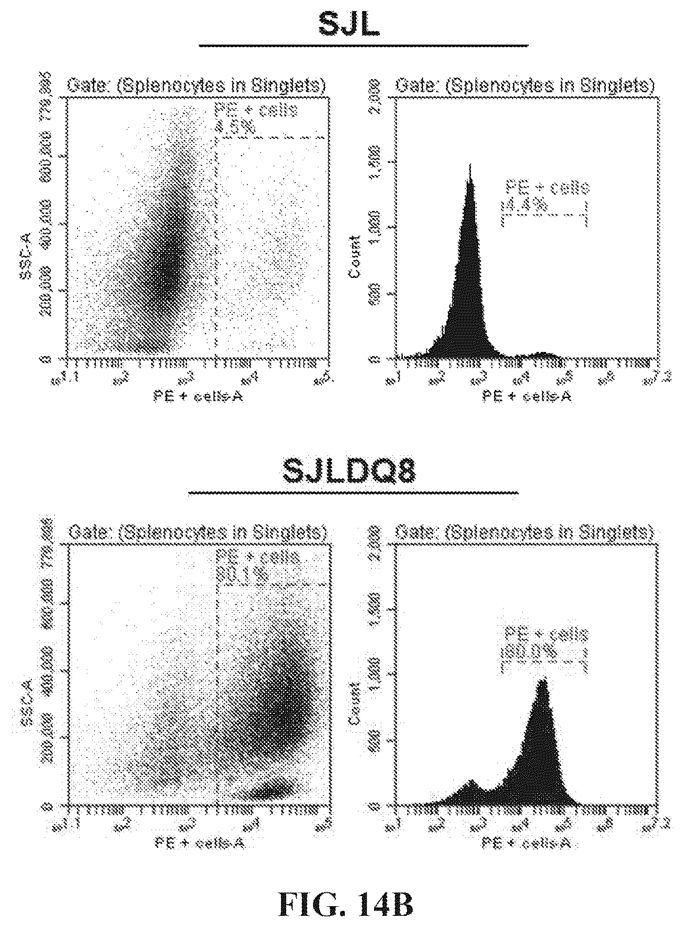 Patent US12552854 Figure 20 – Peptides that block presentation of antigenic islet peptides by HLA-DQ8 and methods for treating type-1 diabetes