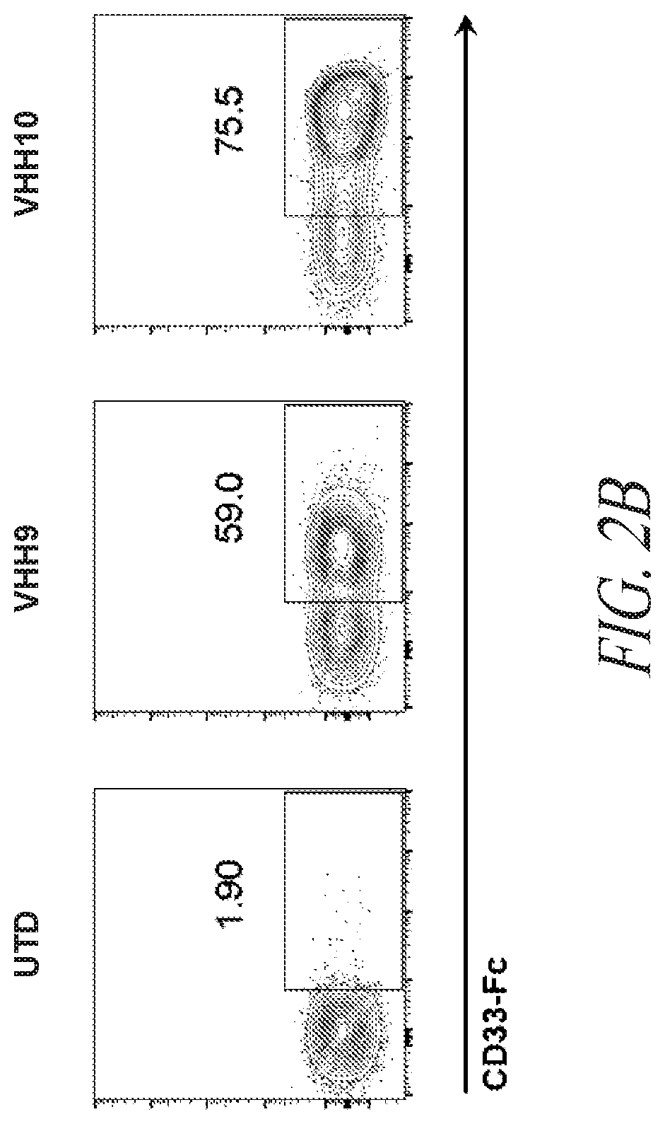 Patent US12552855 Figure 3 – CD33 targeted immunotherapies