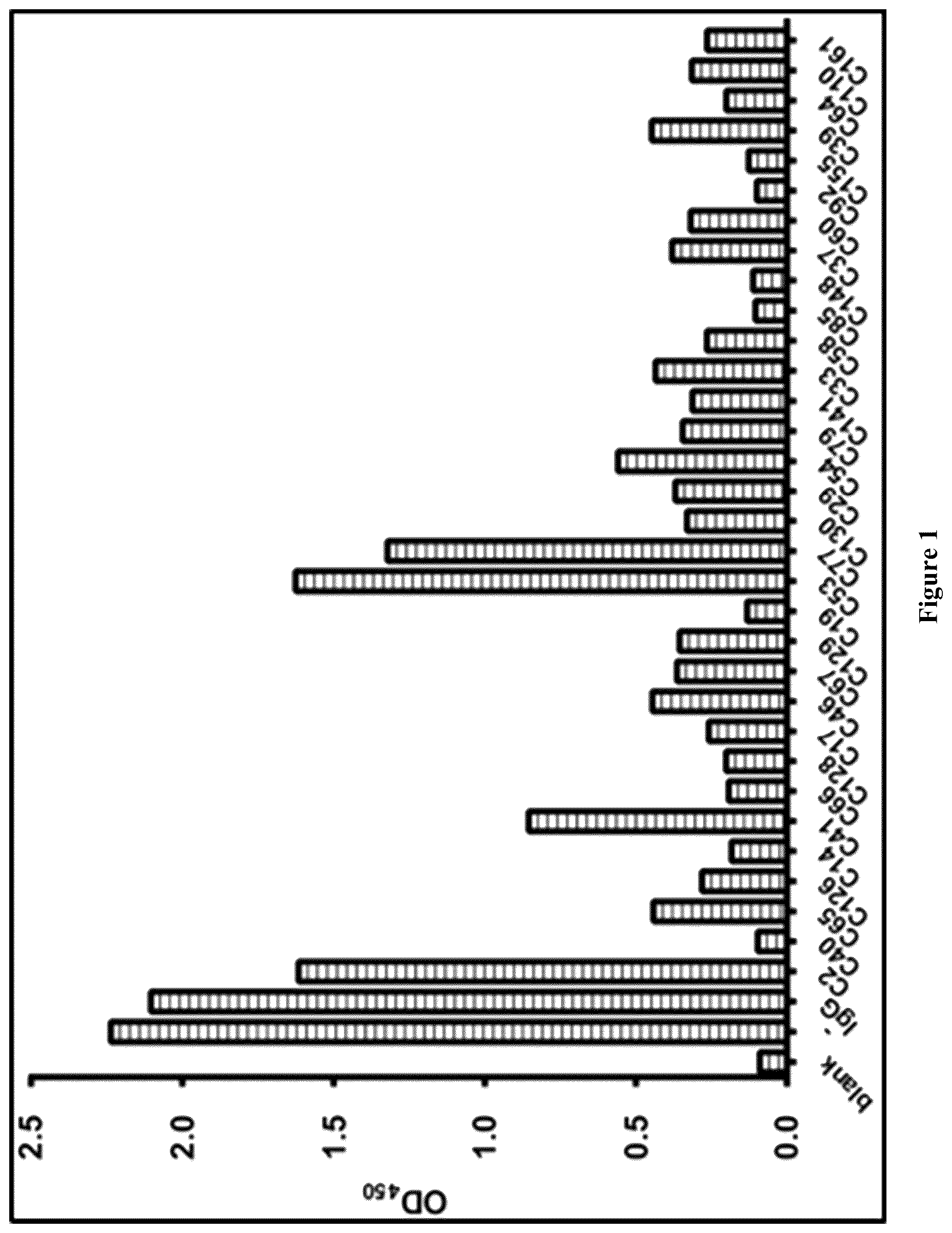 Patent US12552861 Figure 1 – Monoclonal antibody