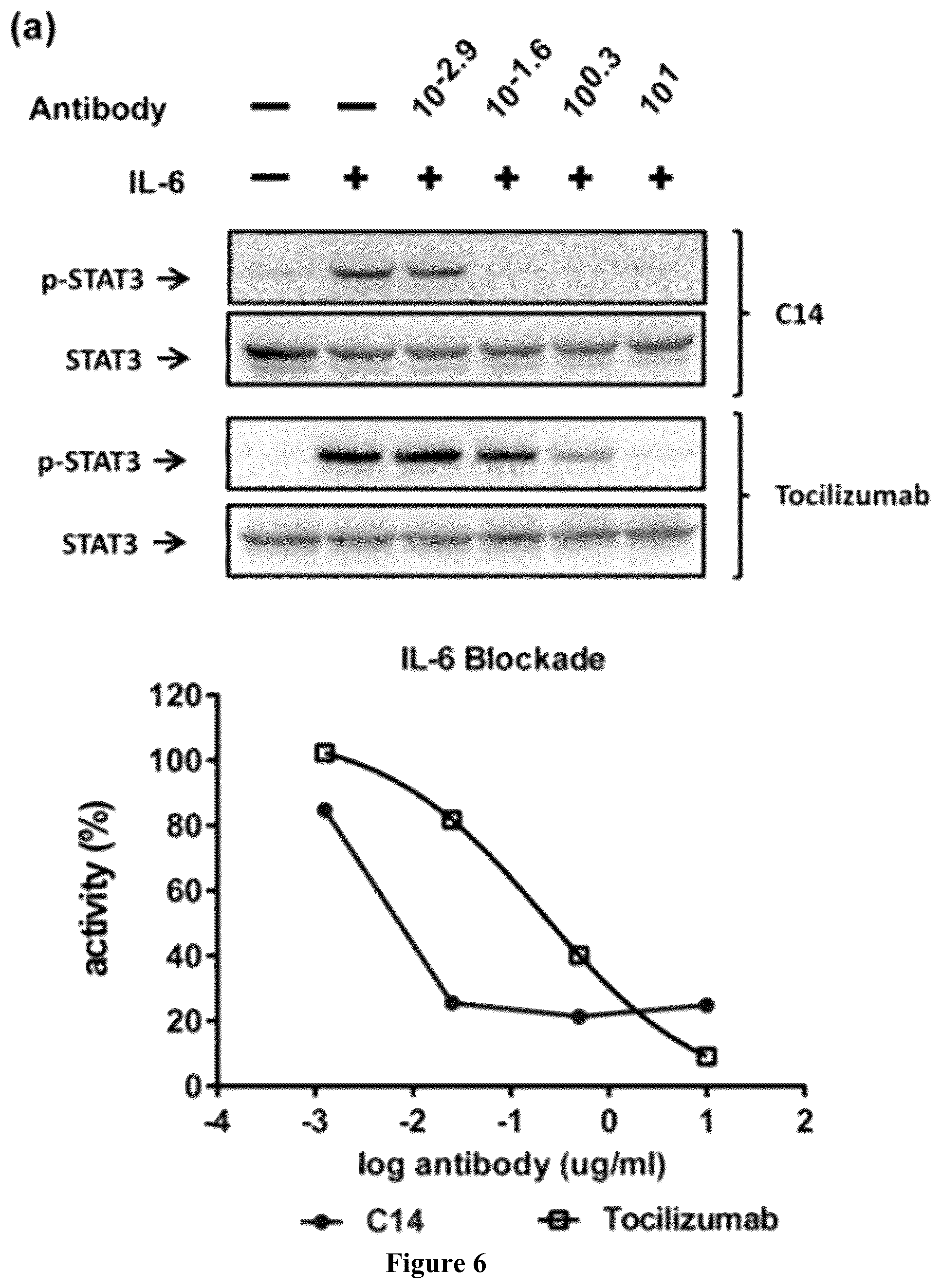 Patent US12552861 Figure 11 – Monoclonal antibody