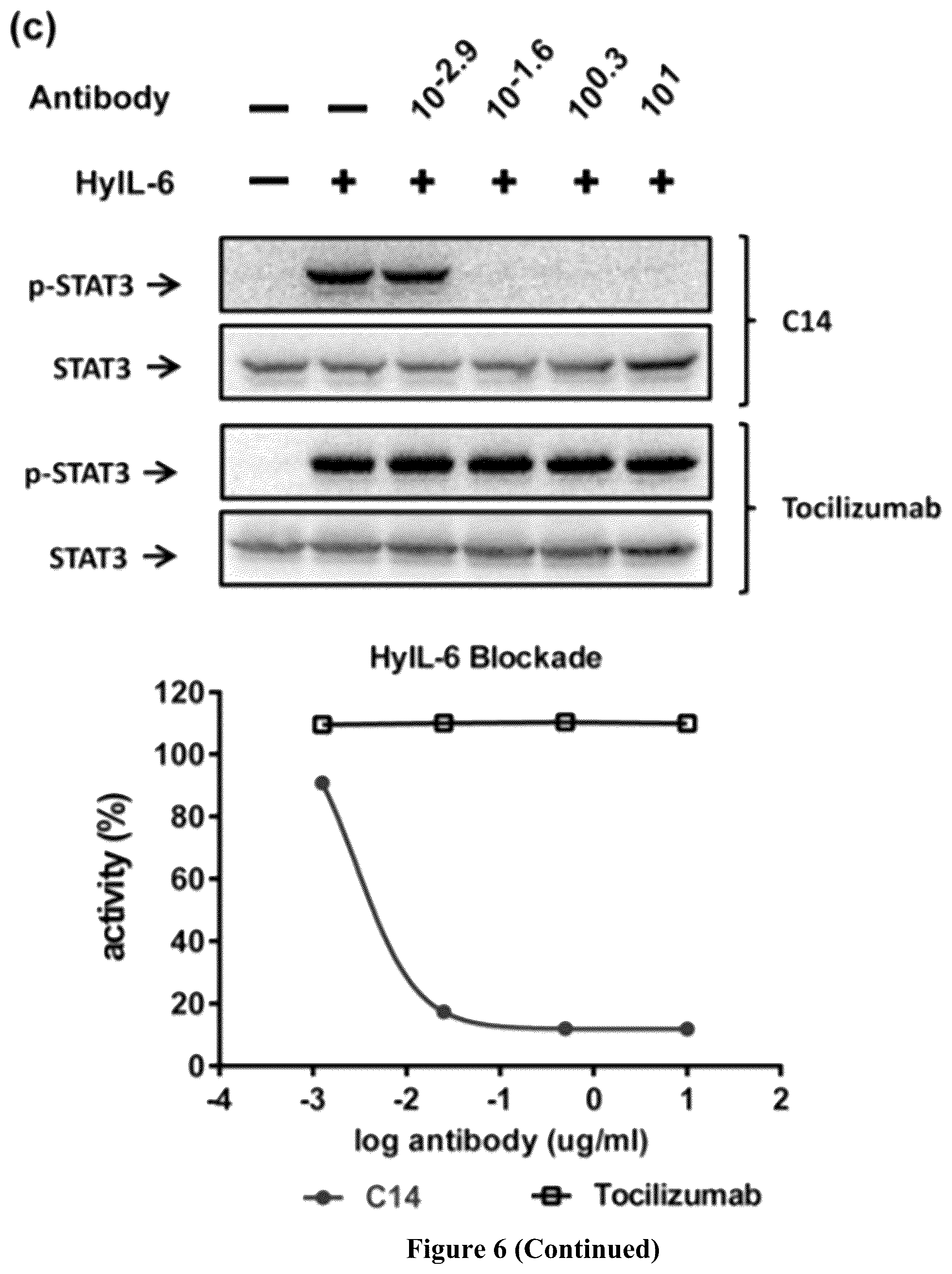 Patent US12552861 Figure 13 – Monoclonal antibody