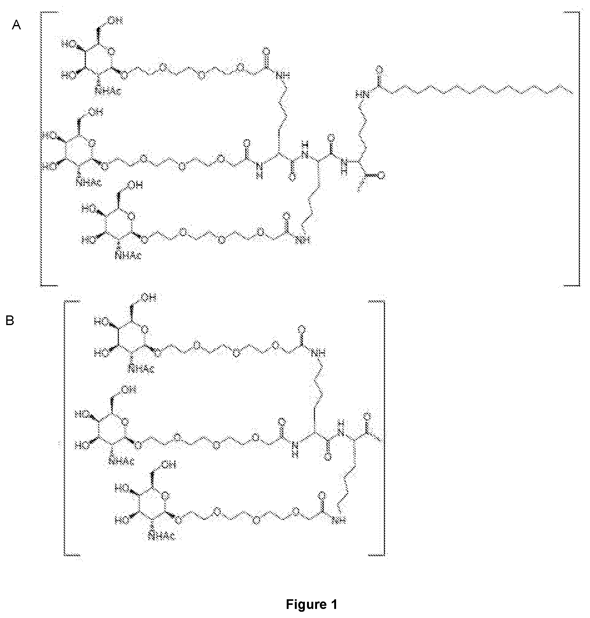 Patent US12552862 Figure 1 – Oligonucleotides for reduction of PD-L1 expression