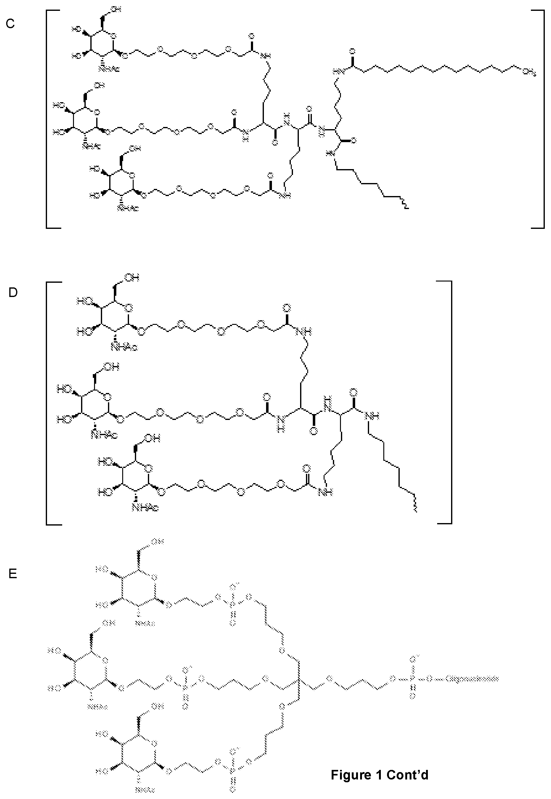 Patent US12552862 Figure 2 – Oligonucleotides for reduction of PD-L1 expression