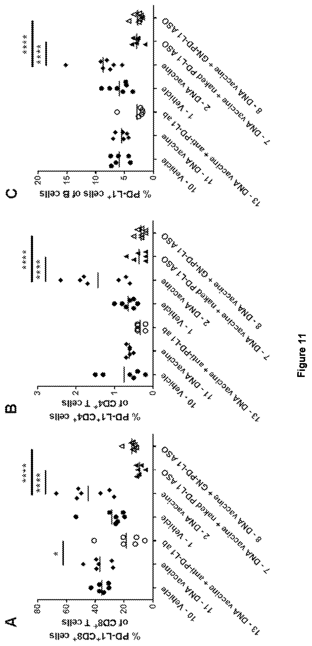 Patent US12552862 Figure 15 – Oligonucleotides for reduction of PD-L1 expression