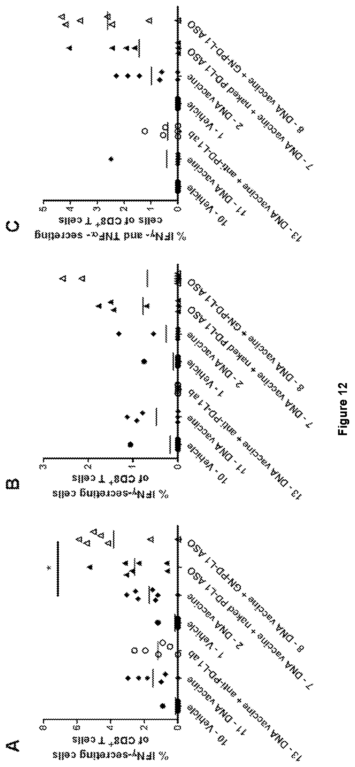 Patent US12552862 Figure 16 – Oligonucleotides for reduction of PD-L1 expression