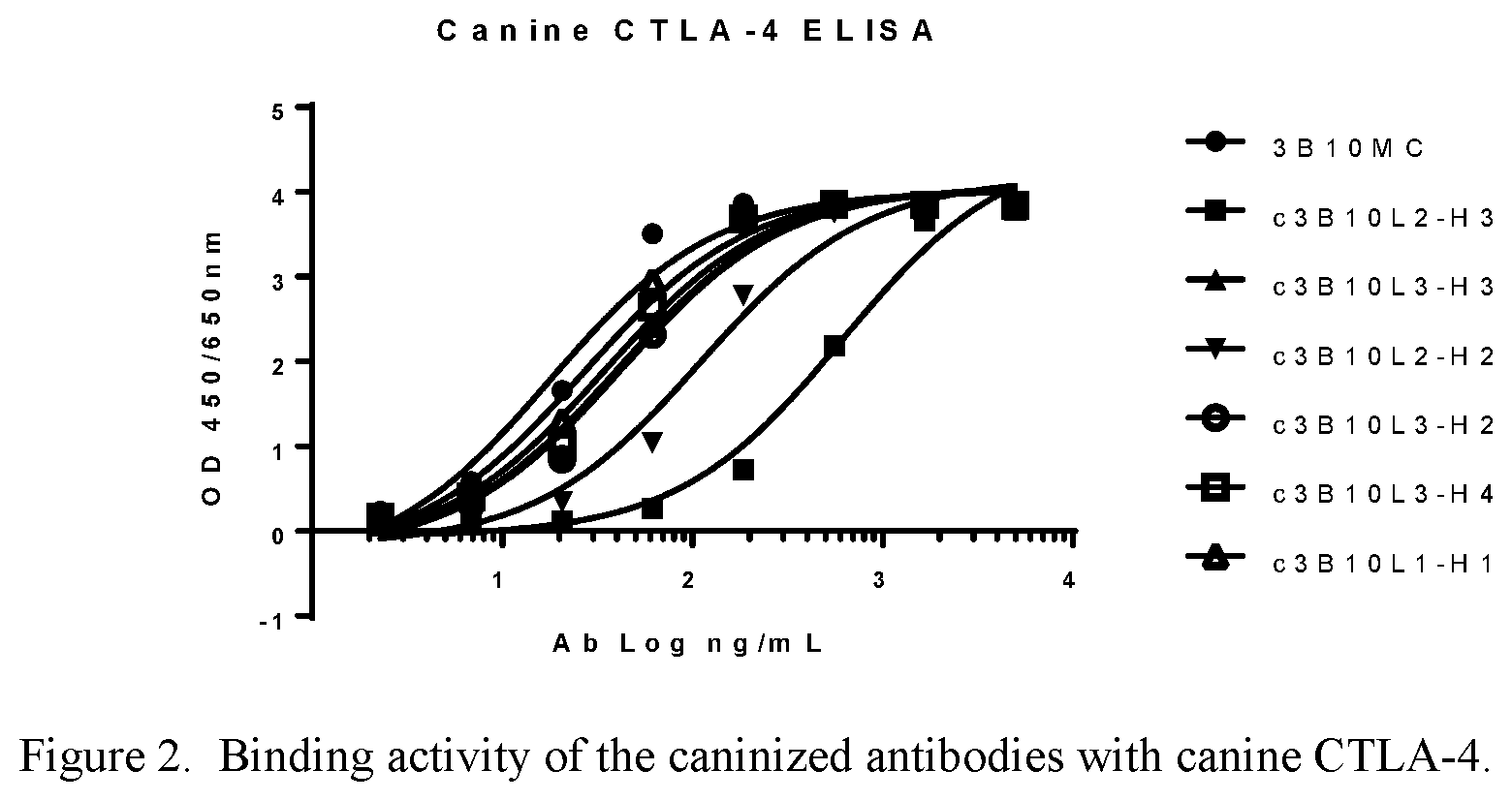 Patent US12552864 Figure 2 – Caninized antibodies to human CTLA-4