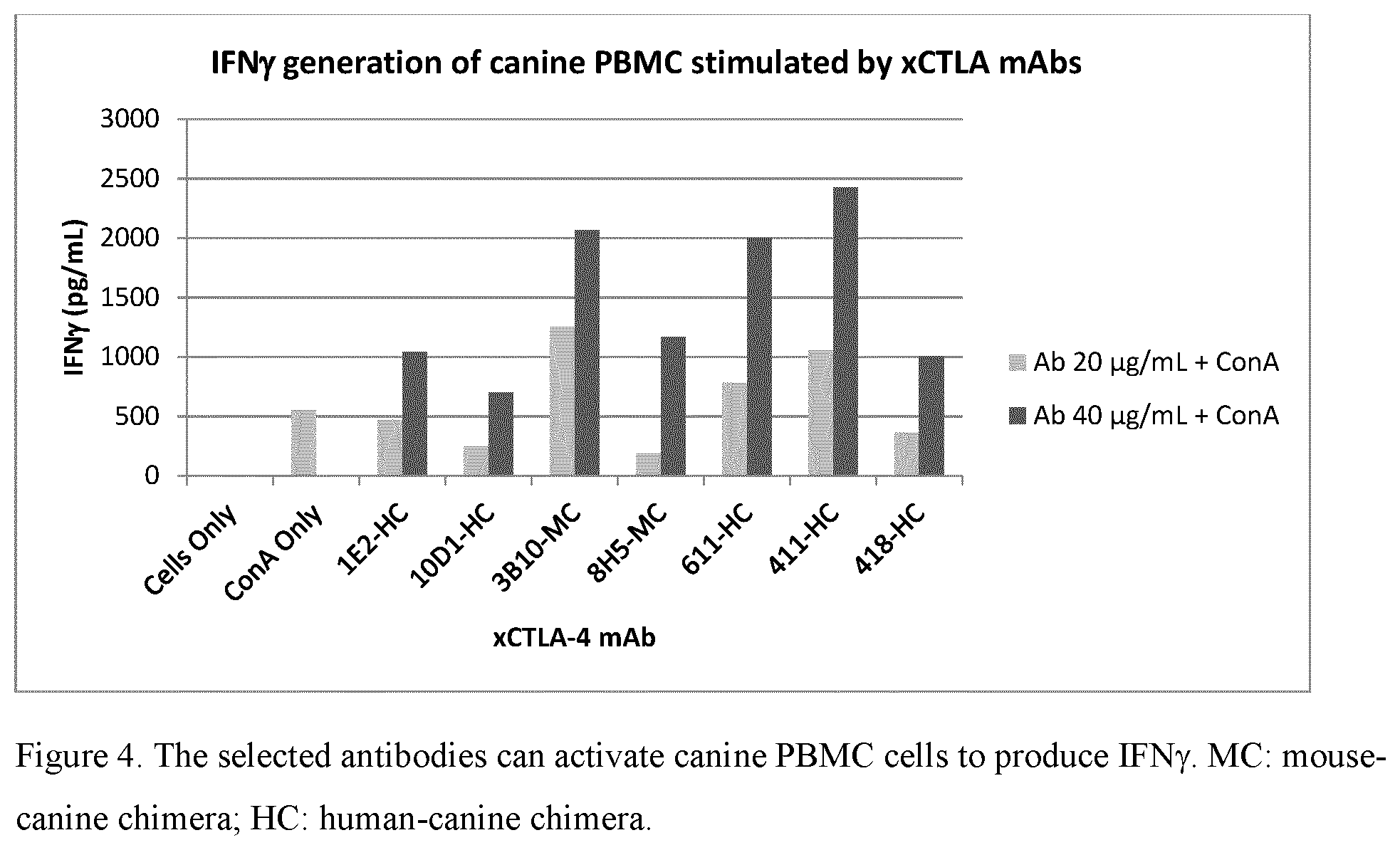 Patent US12552864 Figure 4 – Caninized antibodies to human CTLA-4