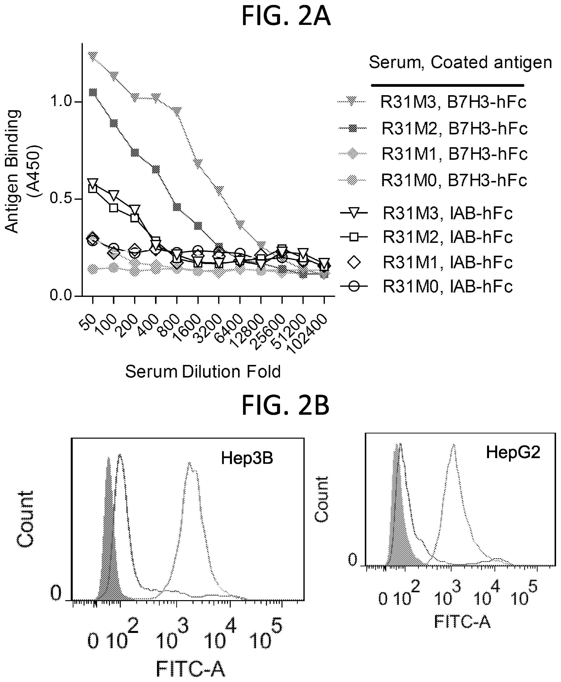 Patent US12552865 Figure 2 – High affinity nanobodies targeting B7-H3 (CD276) for treating multiple solid tumors