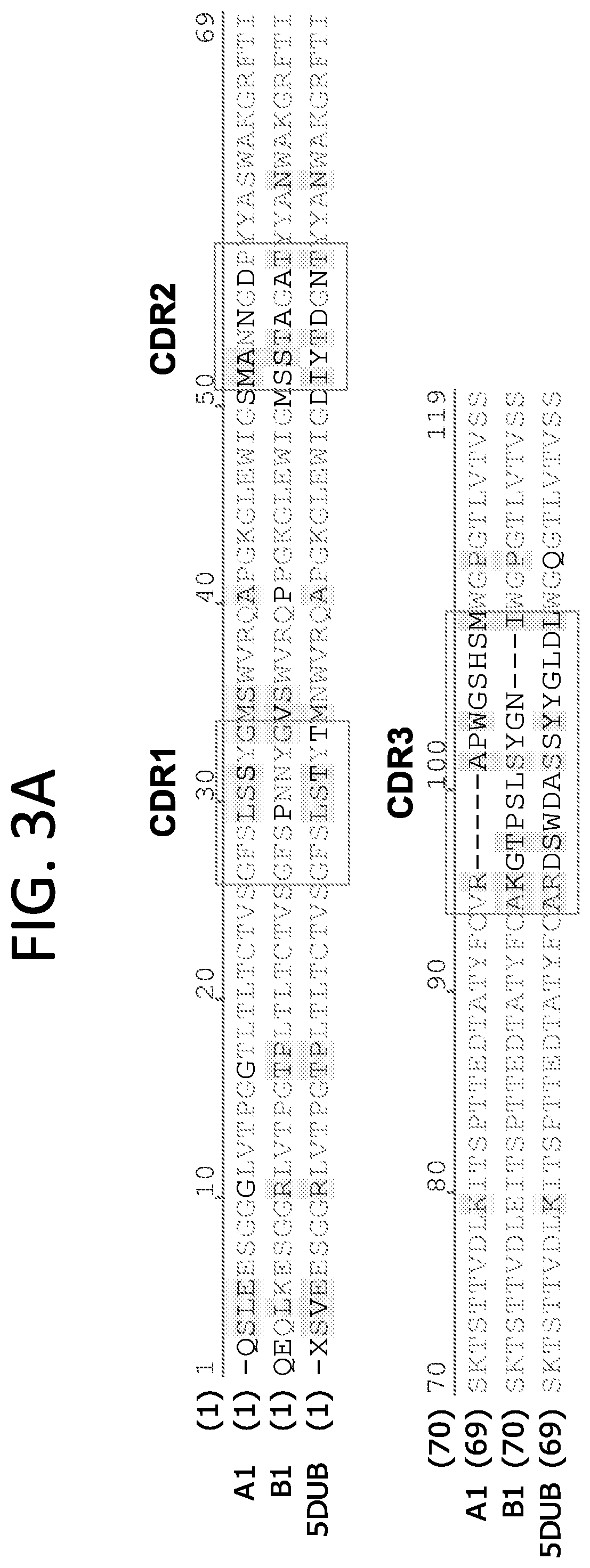 Patent US12552865 Figure 3 – High affinity nanobodies targeting B7-H3 (CD276) for treating multiple solid tumors