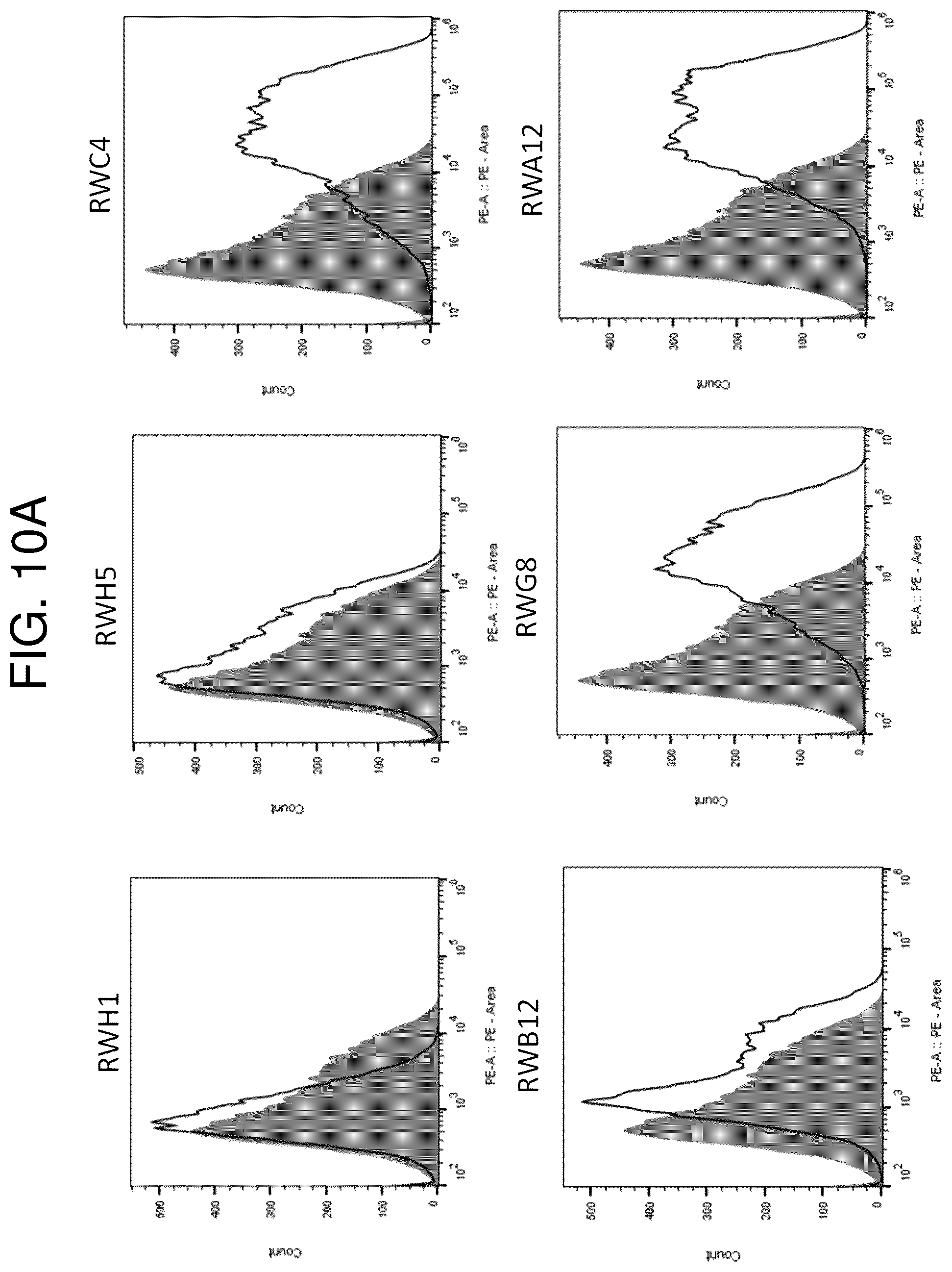 Patent US12552865 Figure 13 – High affinity nanobodies targeting B7-H3 (CD276) for treating multiple solid tumors