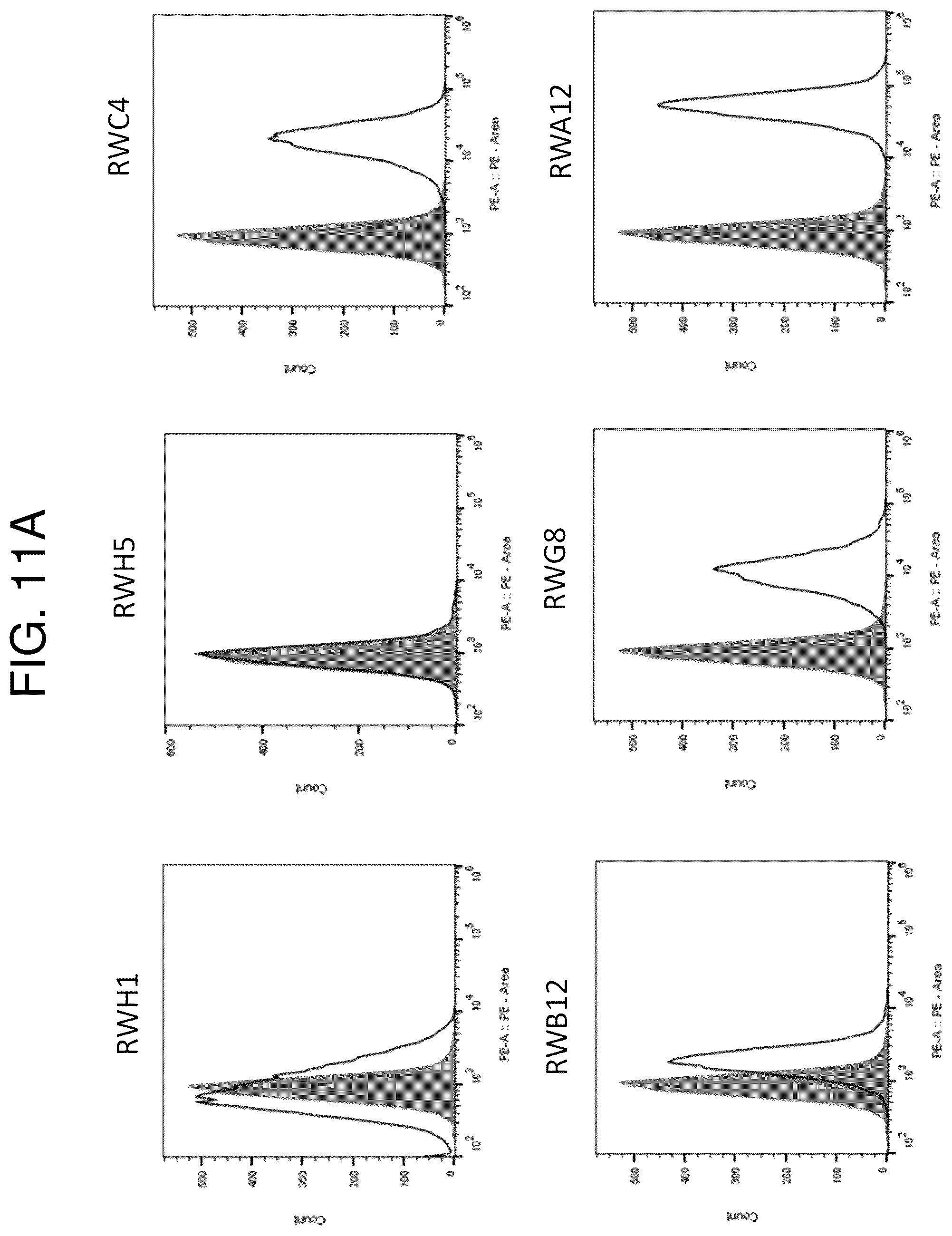Patent US12552865 Figure 15 – High affinity nanobodies targeting B7-H3 (CD276) for treating multiple solid tumors