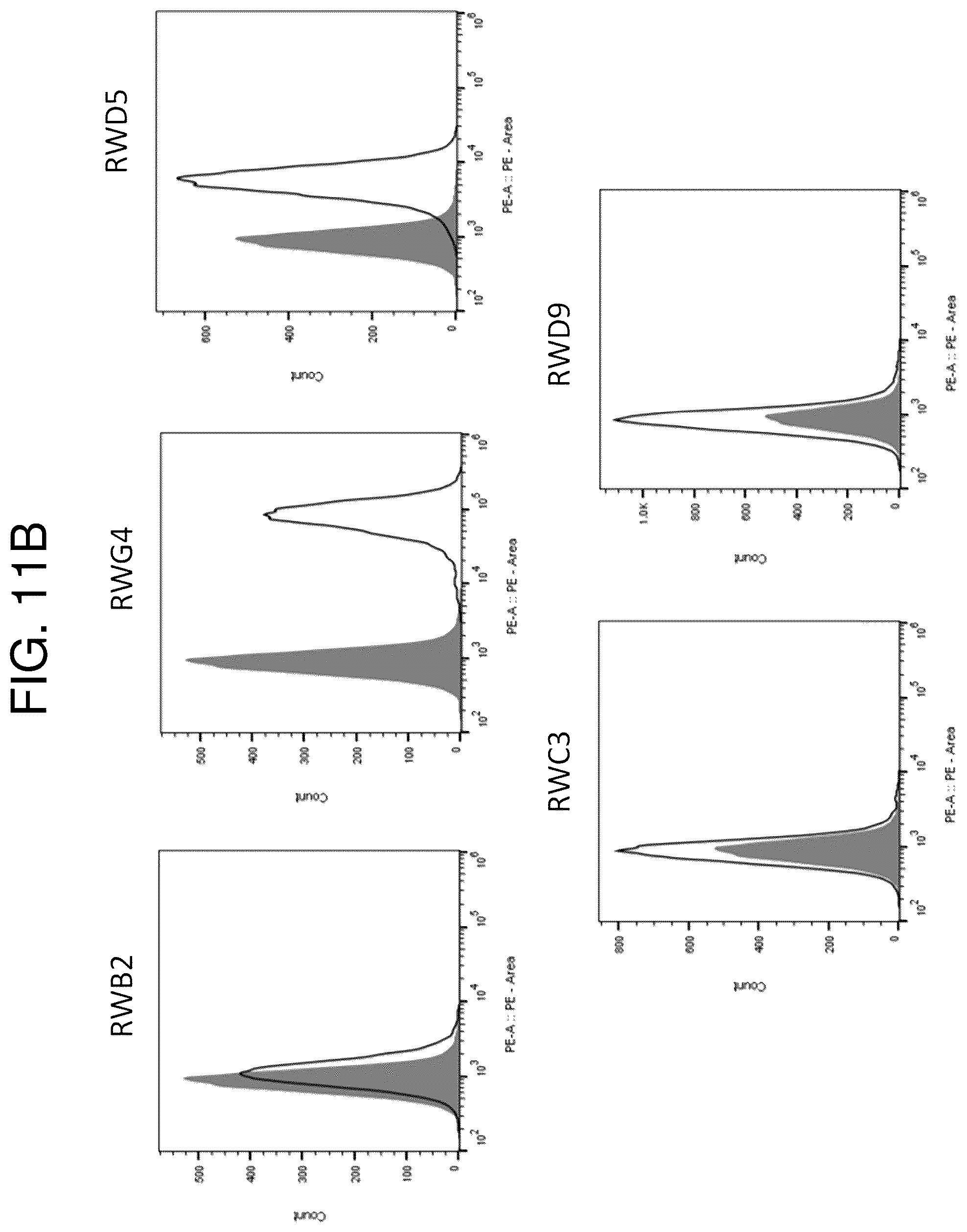 Patent US12552865 Figure 16 – High affinity nanobodies targeting B7-H3 (CD276) for treating multiple solid tumors