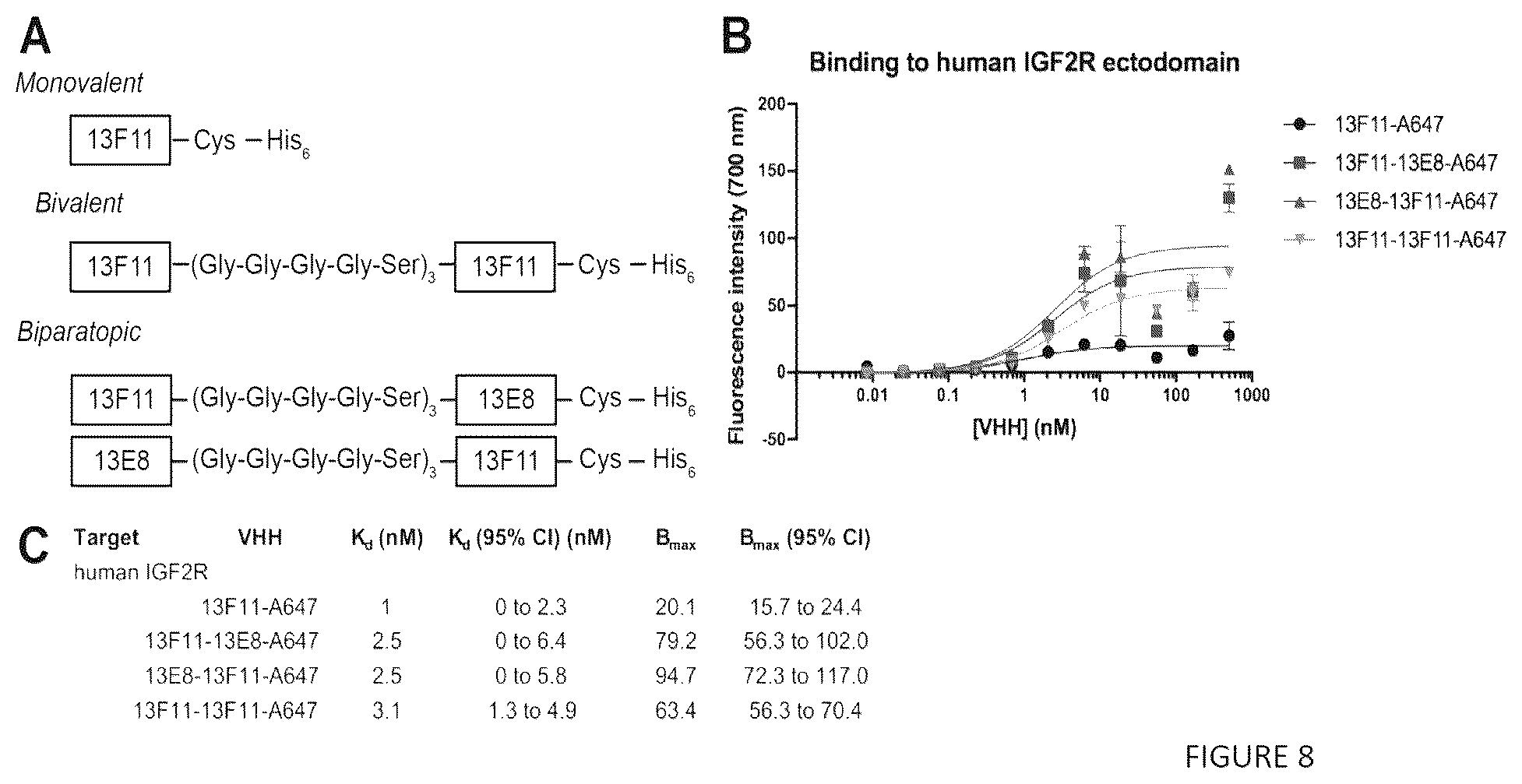 Patent US12552866 Figure 8 – Internalizing binding molecules targeting receptors involved in cell proliferation or in cell differentiation