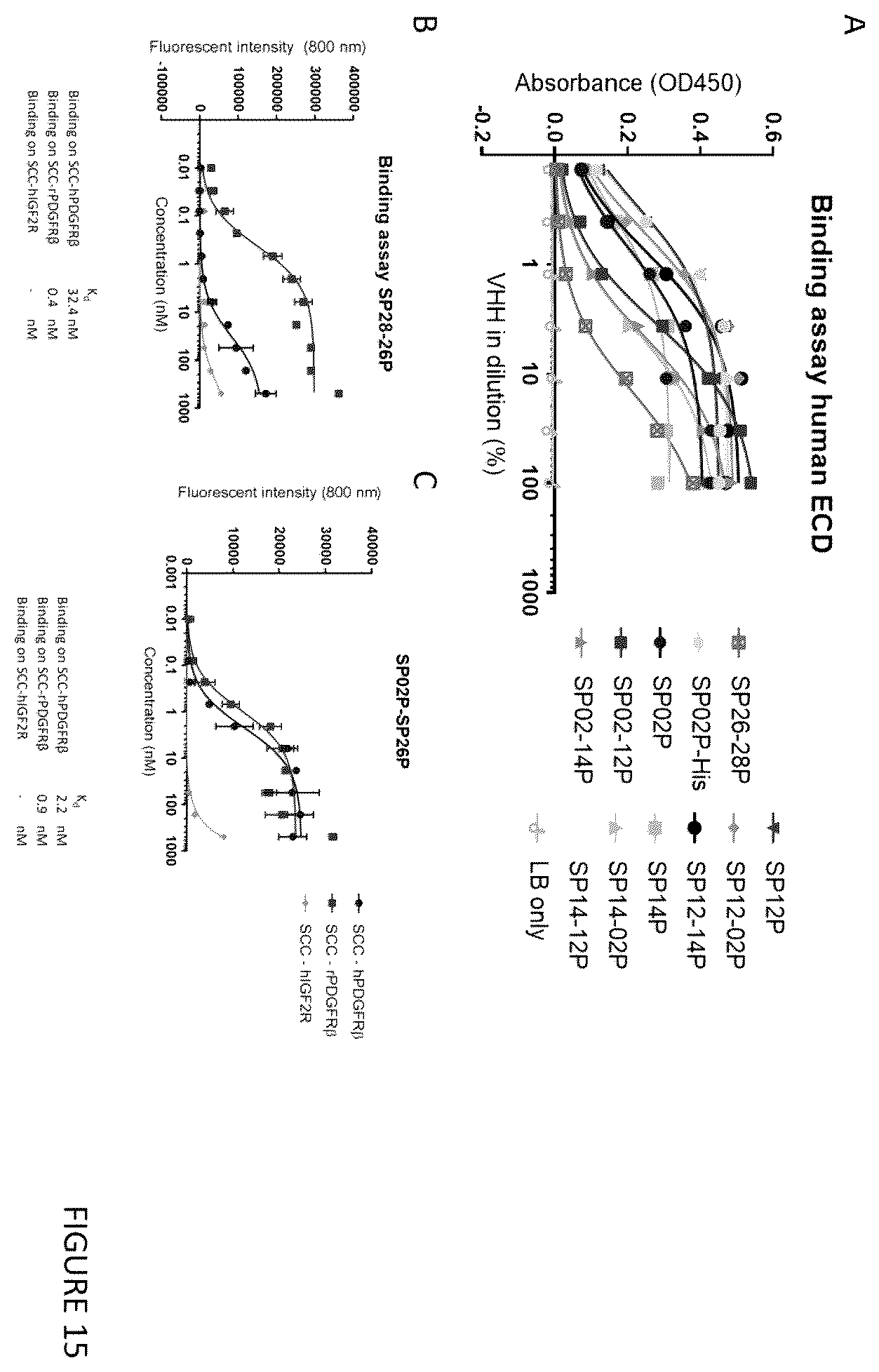 Patent US12552866 Figure 15 – Internalizing binding molecules targeting receptors involved in cell proliferation or in cell differentiation