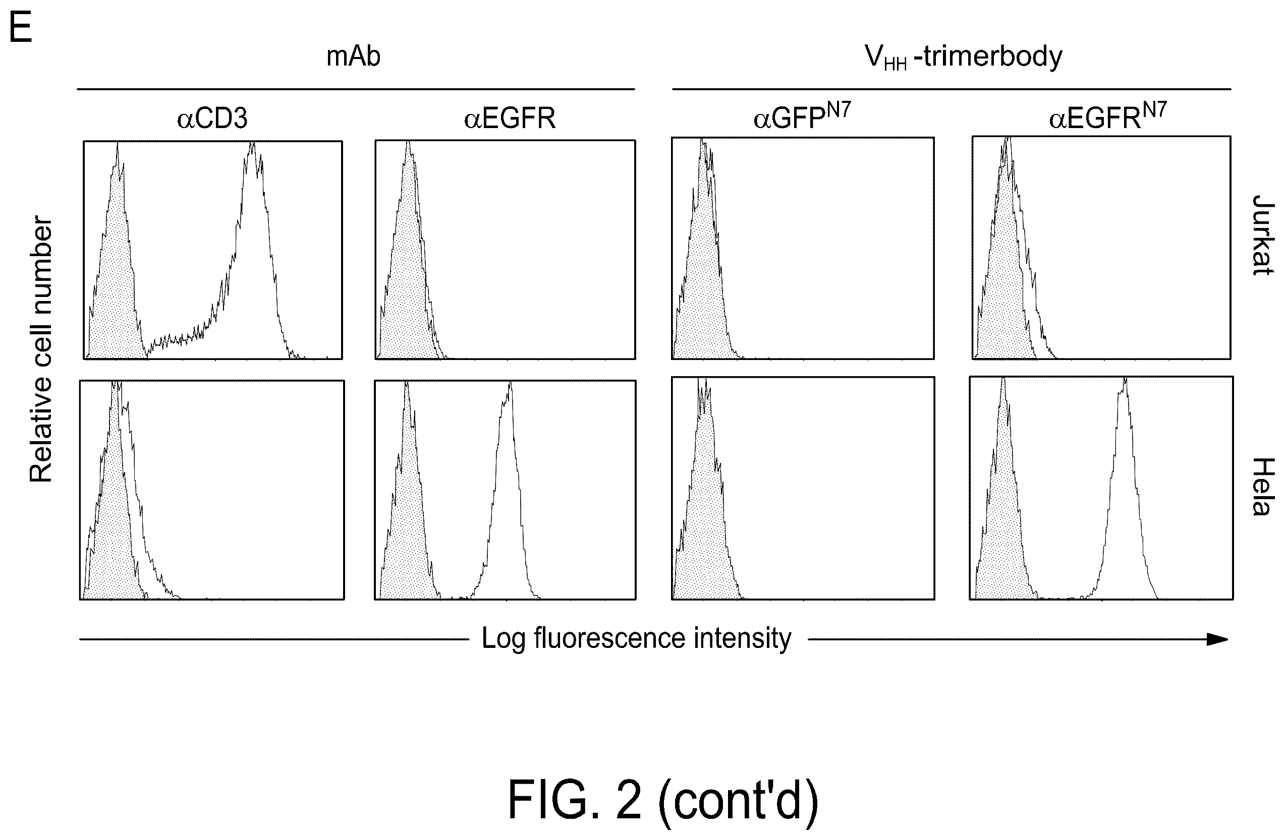 Patent US12552867 Figure 3 – Single chain fusionconstructs comprising multimeric antibody fragments fused to collagen trimerization domains