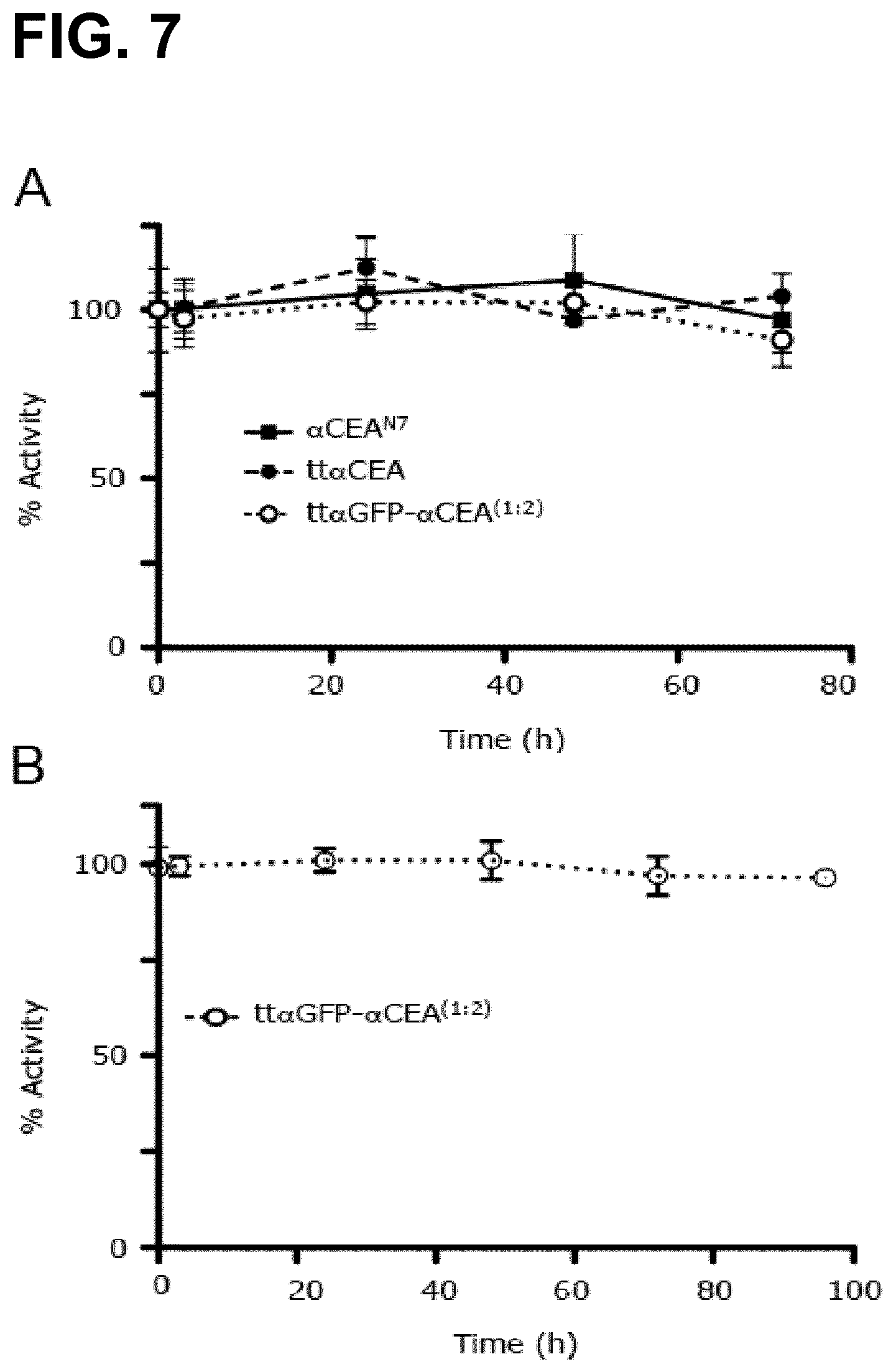 Patent US12552867 Figure 9 – Single chain fusionconstructs comprising multimeric antibody fragments fused to collagen trimerization domains