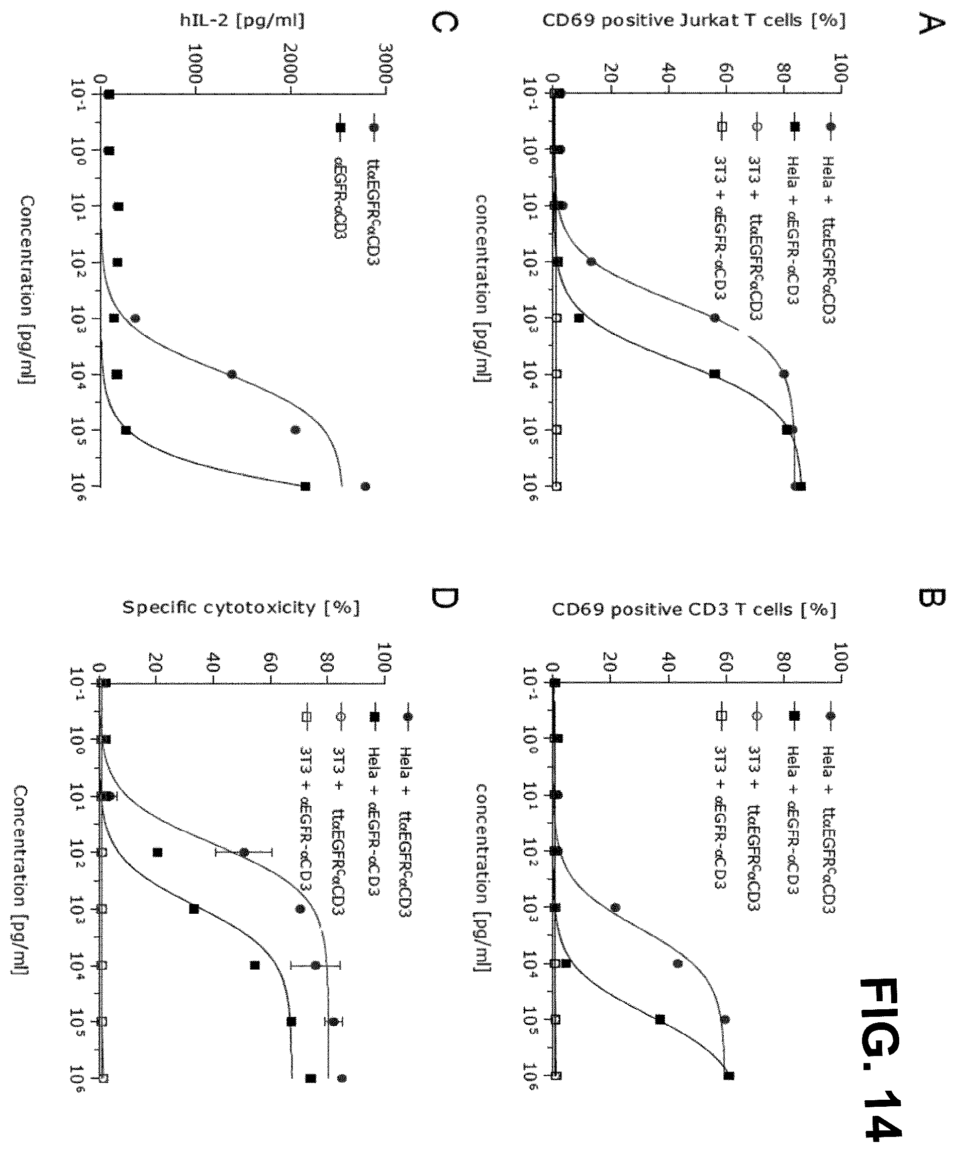 Patent US12552867 Figure 16 – Single chain fusionconstructs comprising multimeric antibody fragments fused to collagen trimerization domains