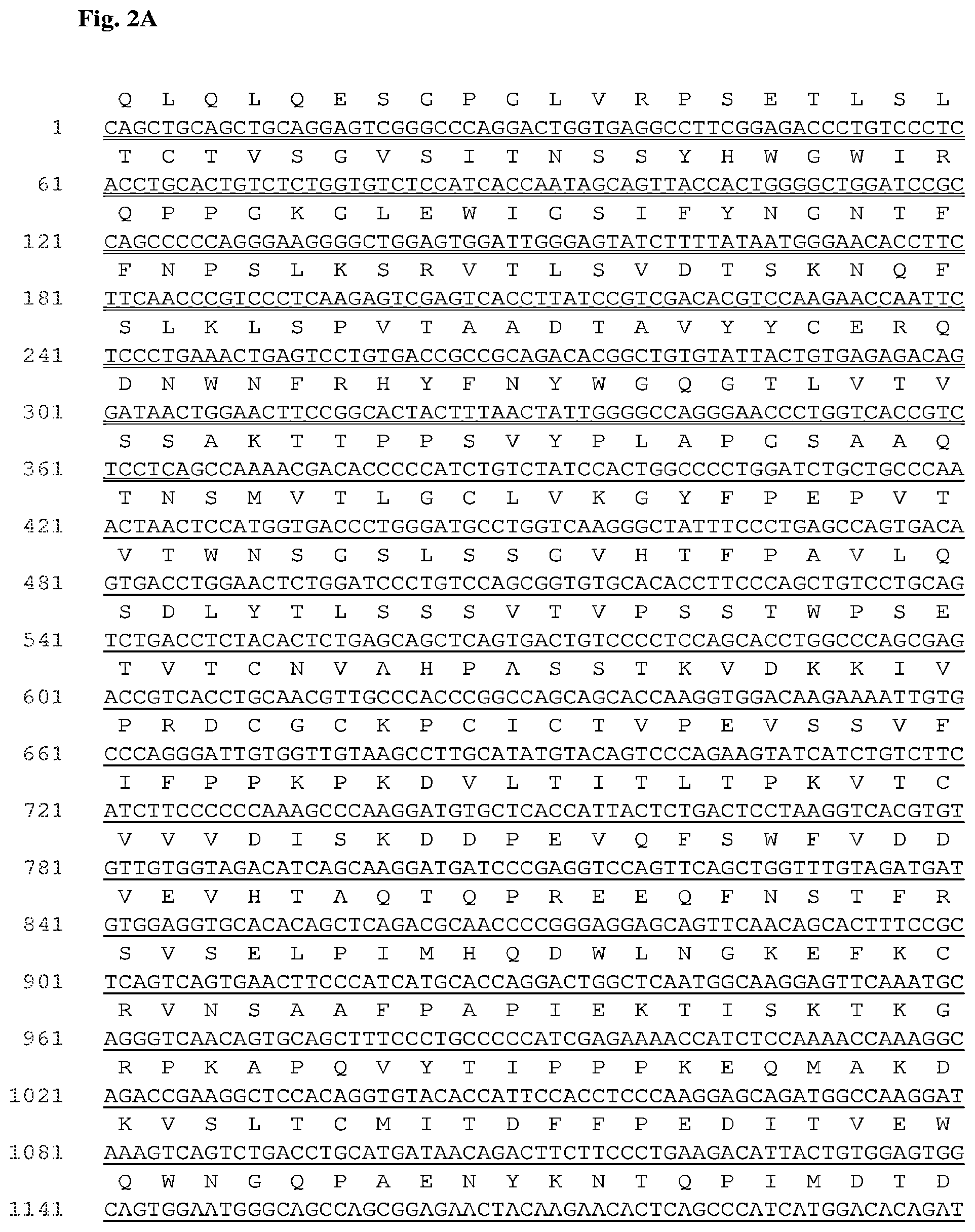 Patent US12552868 Figure 4 – Antibodies that bind to AXL proteins