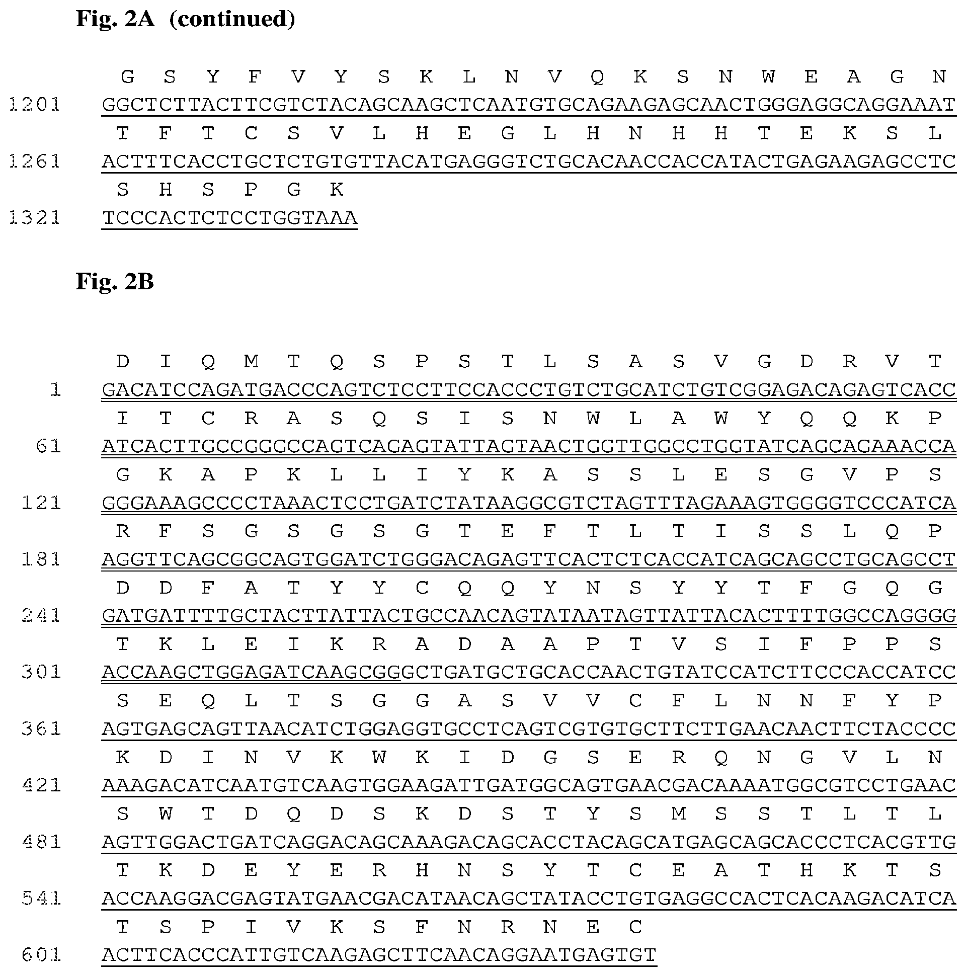 Patent US12552868 Figure 5 – Antibodies that bind to AXL proteins