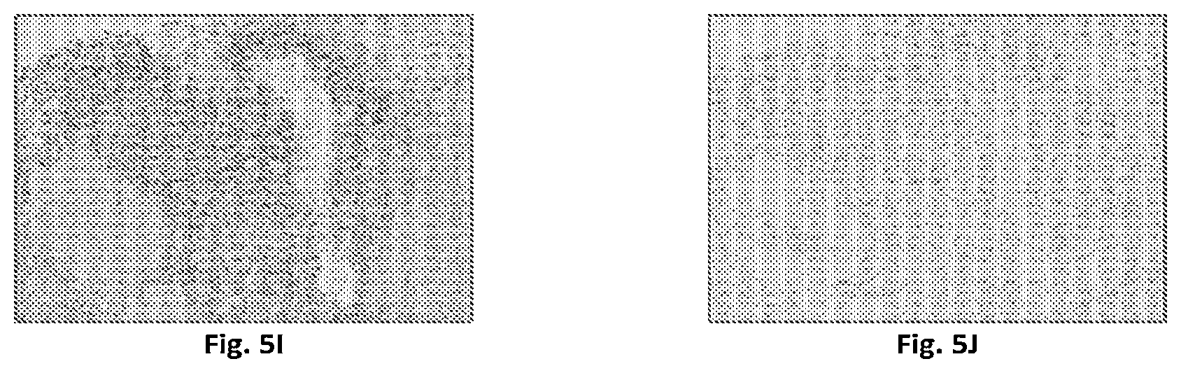 Patent US12552868 Figure 10 – Antibodies that bind to AXL proteins