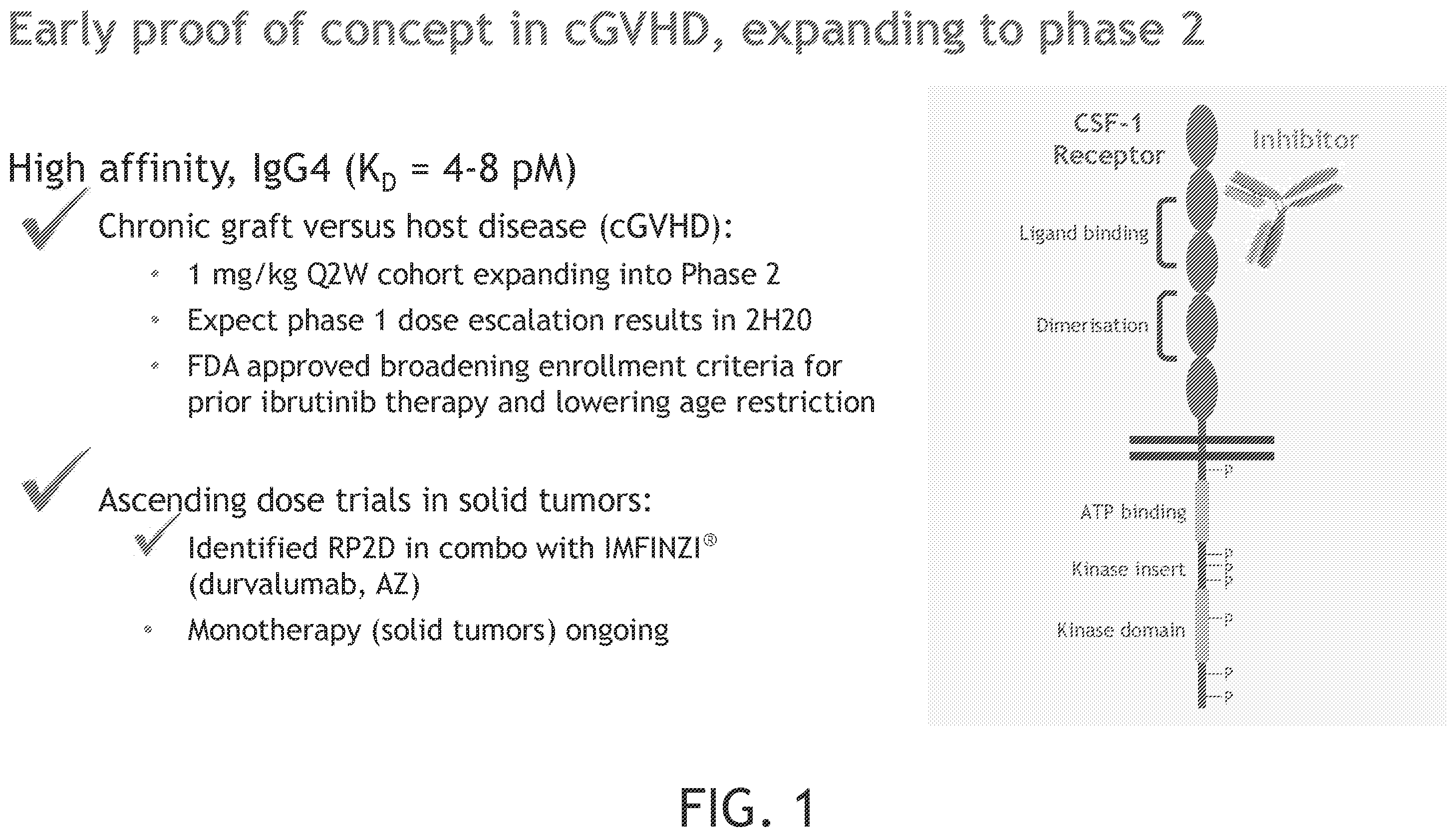 Patent US12552869 Figure 1 – CSF-1R antibodies for the treatment of chronic graft versus host disease