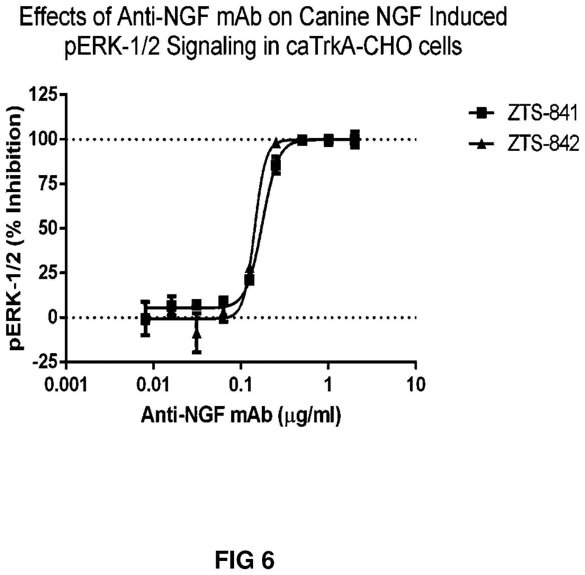Patent US12552871 Figure 6 – Nucleic acids encoding humanized anti-NGF antibodies