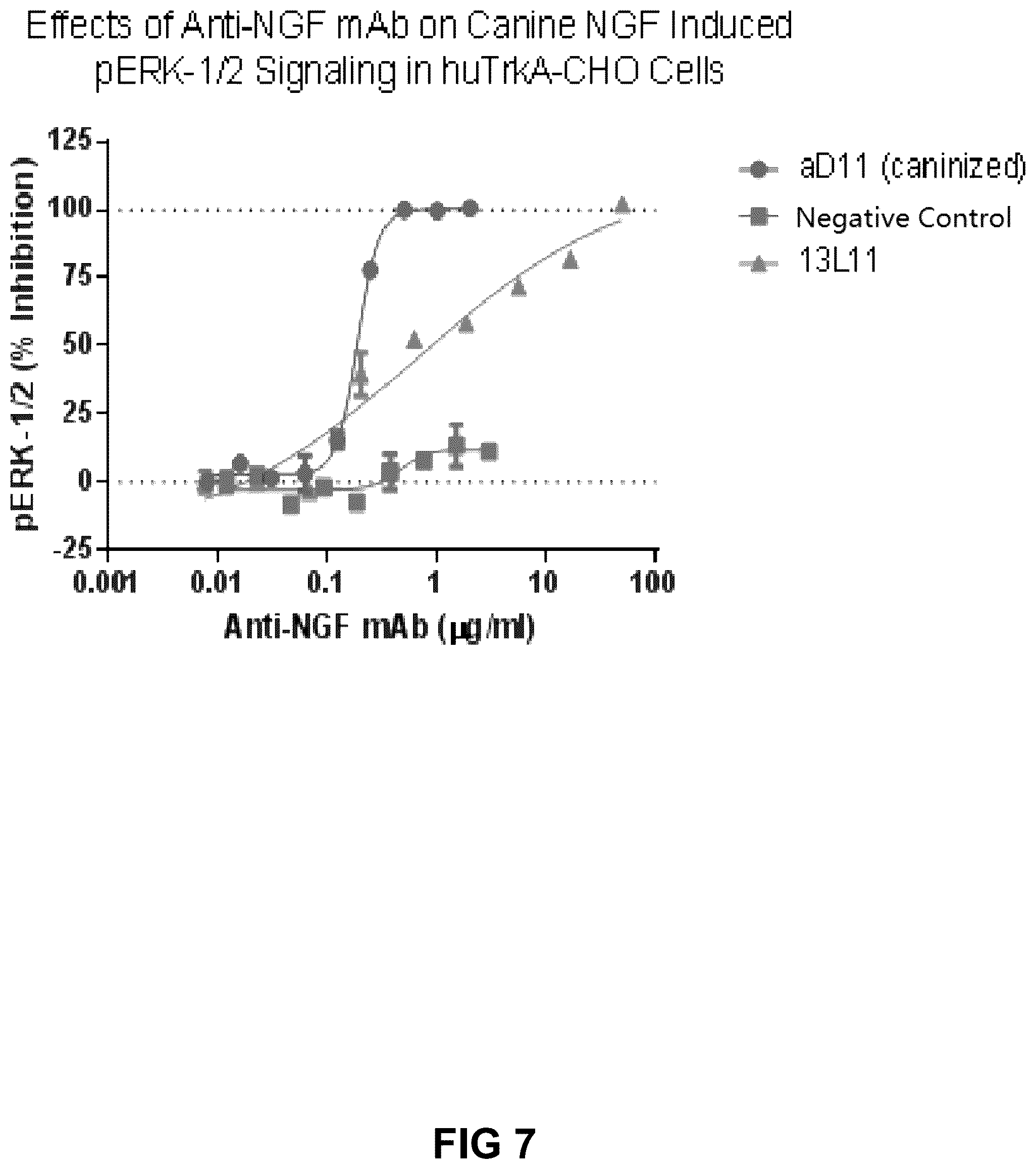 Patent US12552871 Figure 7 – Nucleic acids encoding humanized anti-NGF antibodies