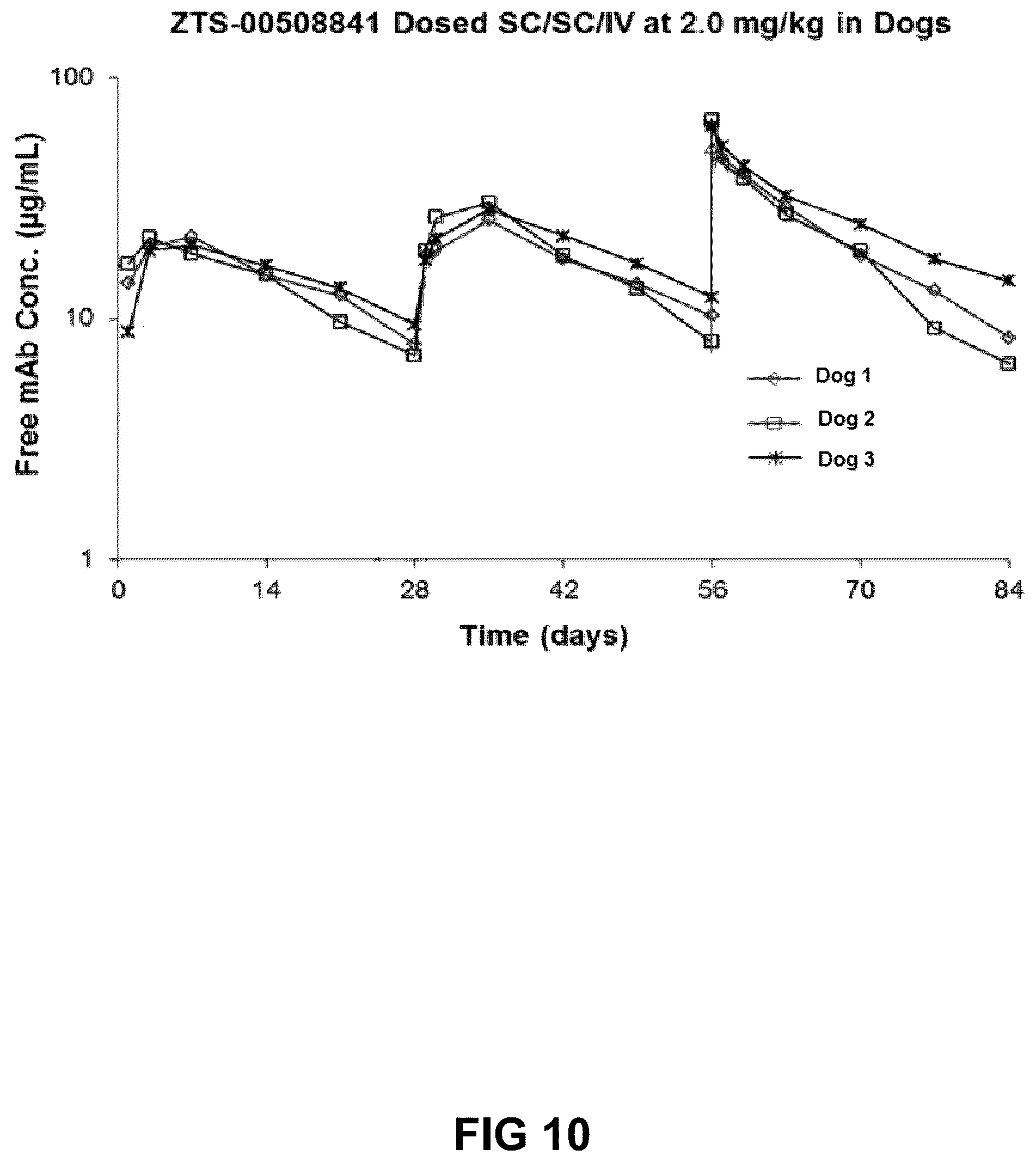 Patent US12552871 Figure 10 – Nucleic acids encoding humanized anti-NGF antibodies
