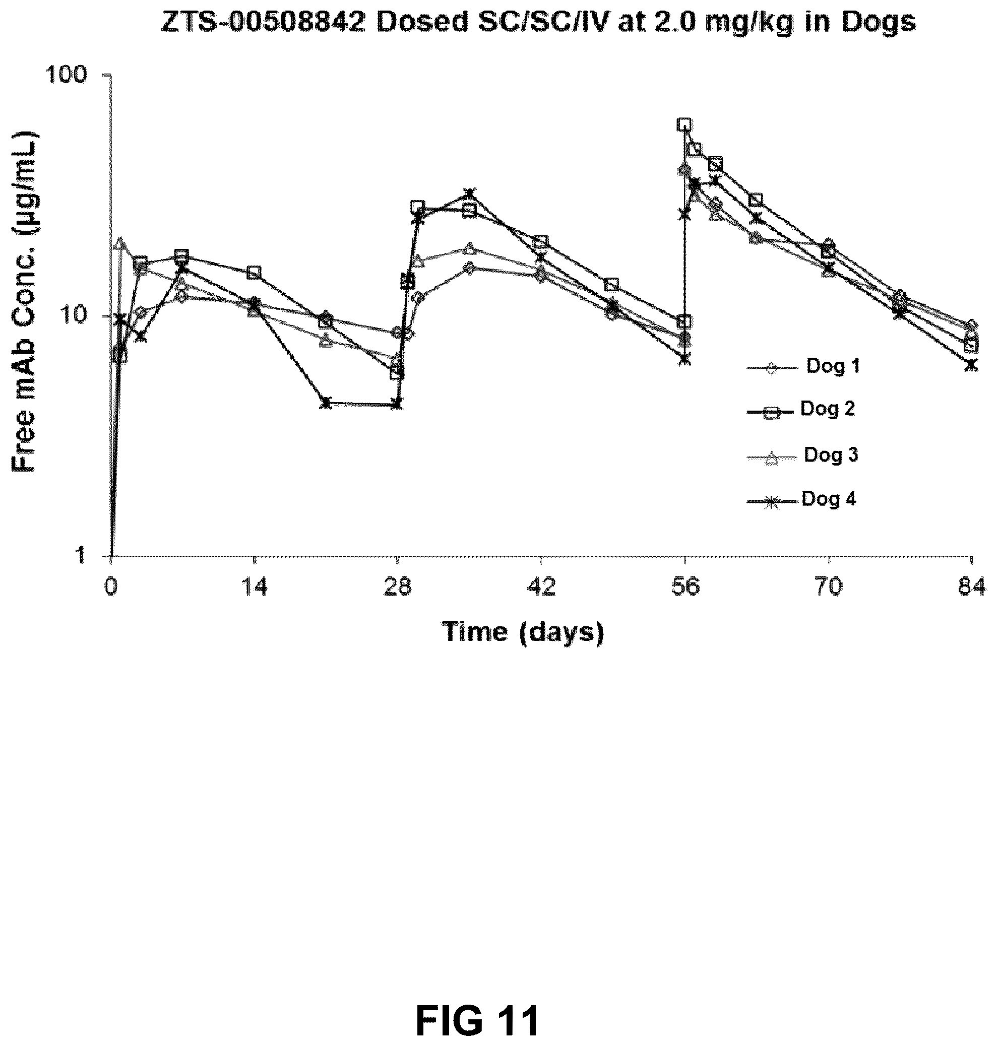 Patent US12552871 Figure 11 – Nucleic acids encoding humanized anti-NGF antibodies