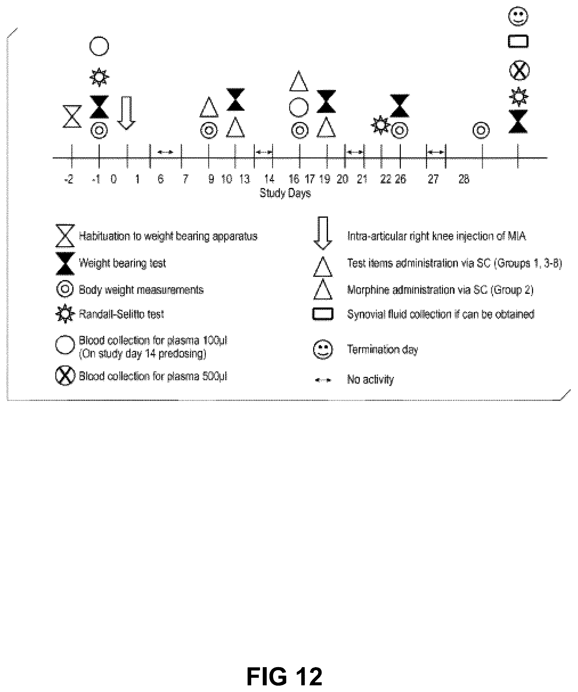 Patent US12552871 Figure 12 – Nucleic acids encoding humanized anti-NGF antibodies