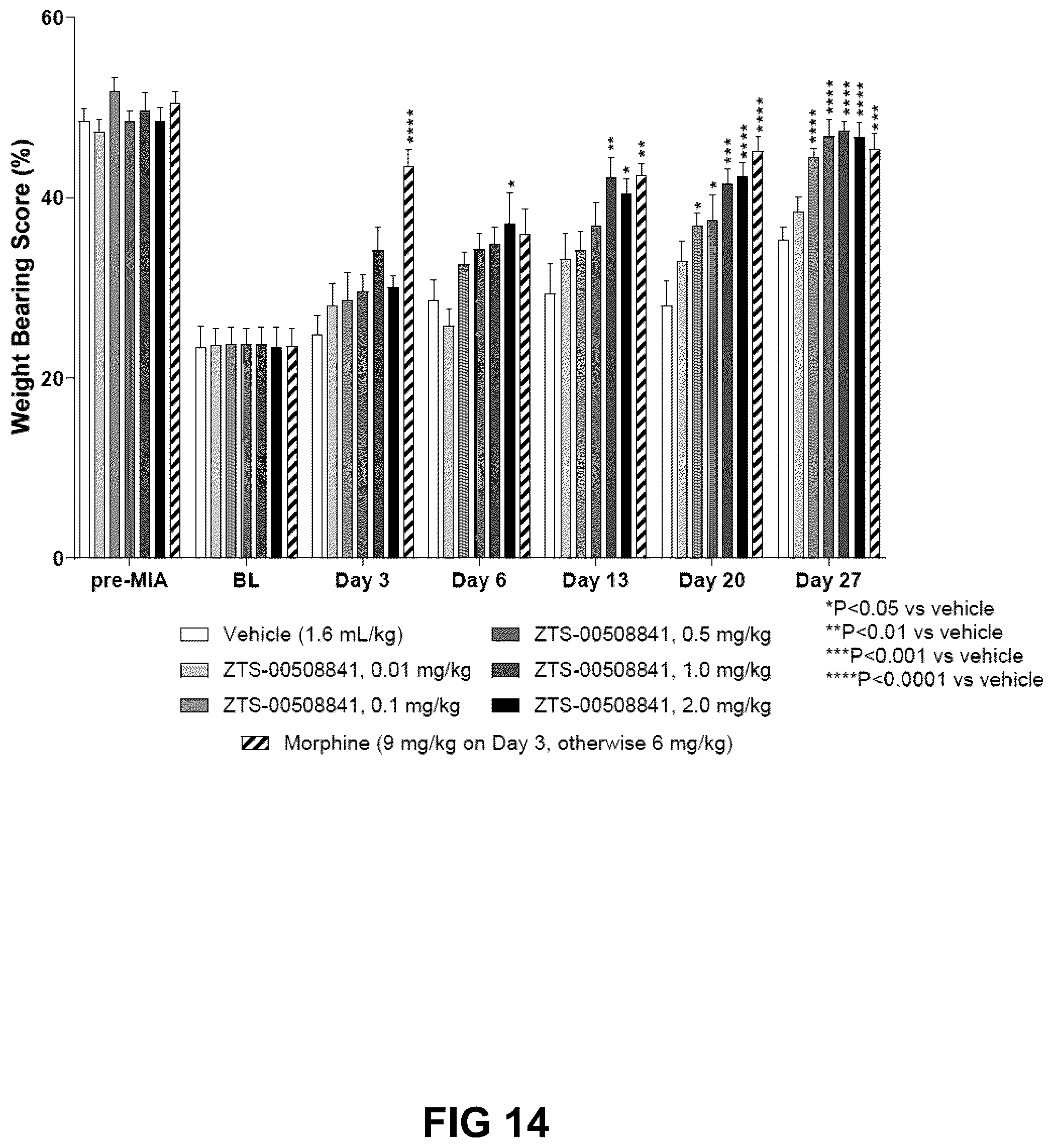 Patent US12552871 Figure 14 – Nucleic acids encoding humanized anti-NGF antibodies