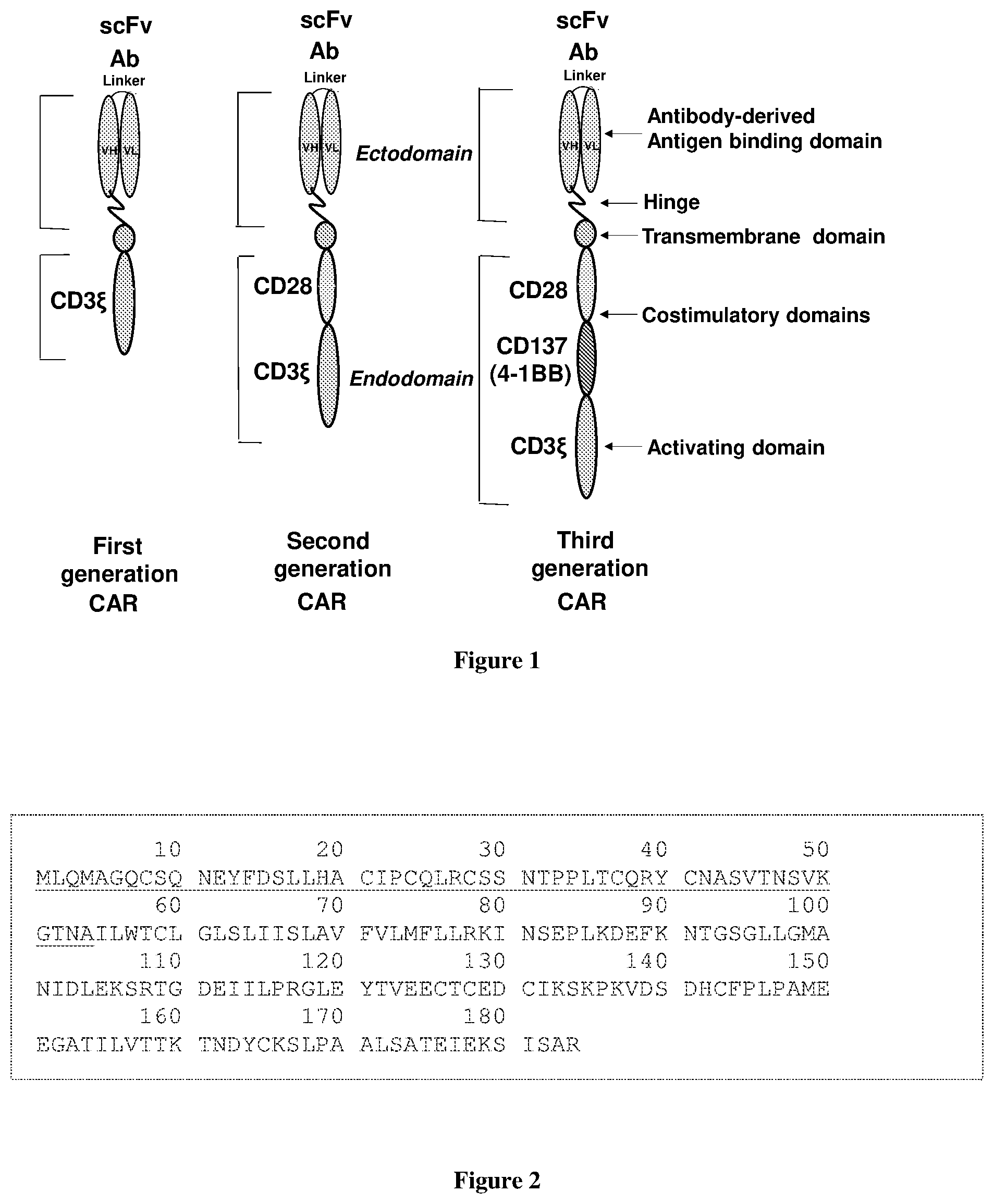 Patent US12552872 Figure 1 – Humanized BCMA antibody and BCMA-CAR-T cells