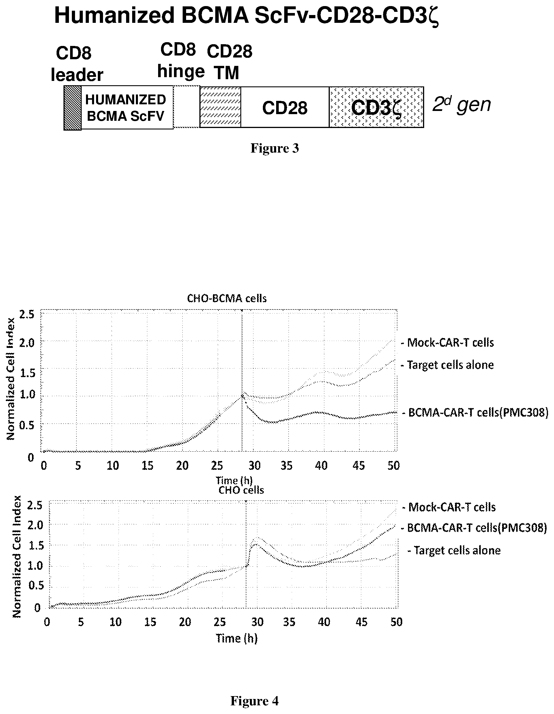 Patent US12552872 Figure 2 – Humanized BCMA antibody and BCMA-CAR-T cells