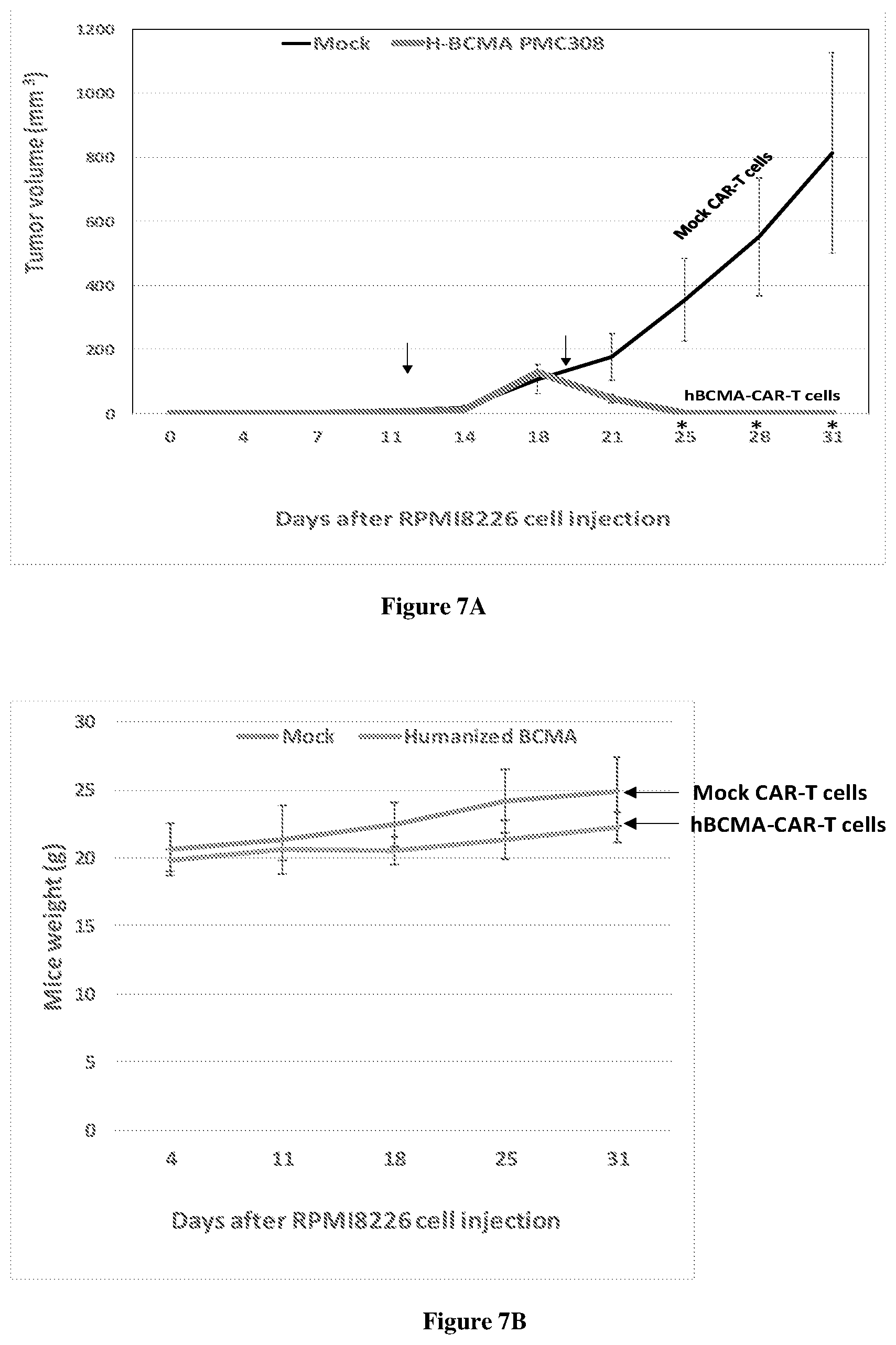 Patent US12552872 Figure 4 – Humanized BCMA antibody and BCMA-CAR-T cells