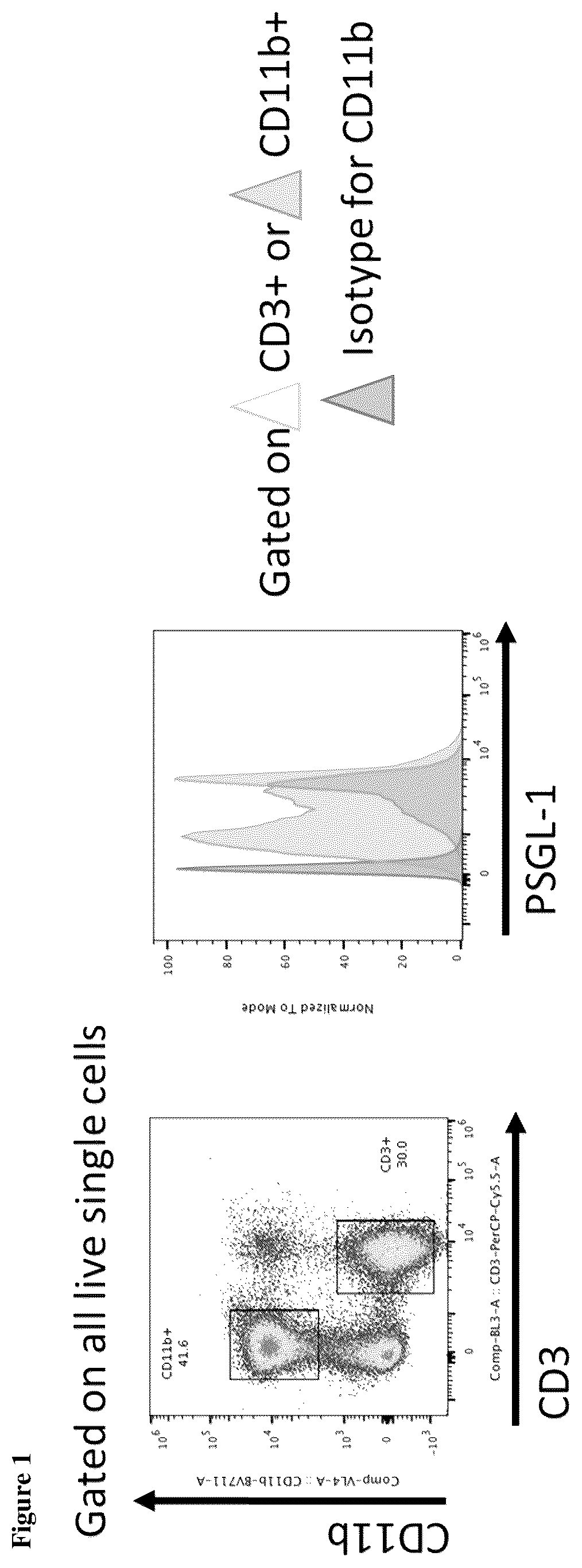 Patent US12552873 Figure 1 – Anti-PSGL-1 compositions and methods for modulating myeloid cell inflammatory phenotypes and uses thereof