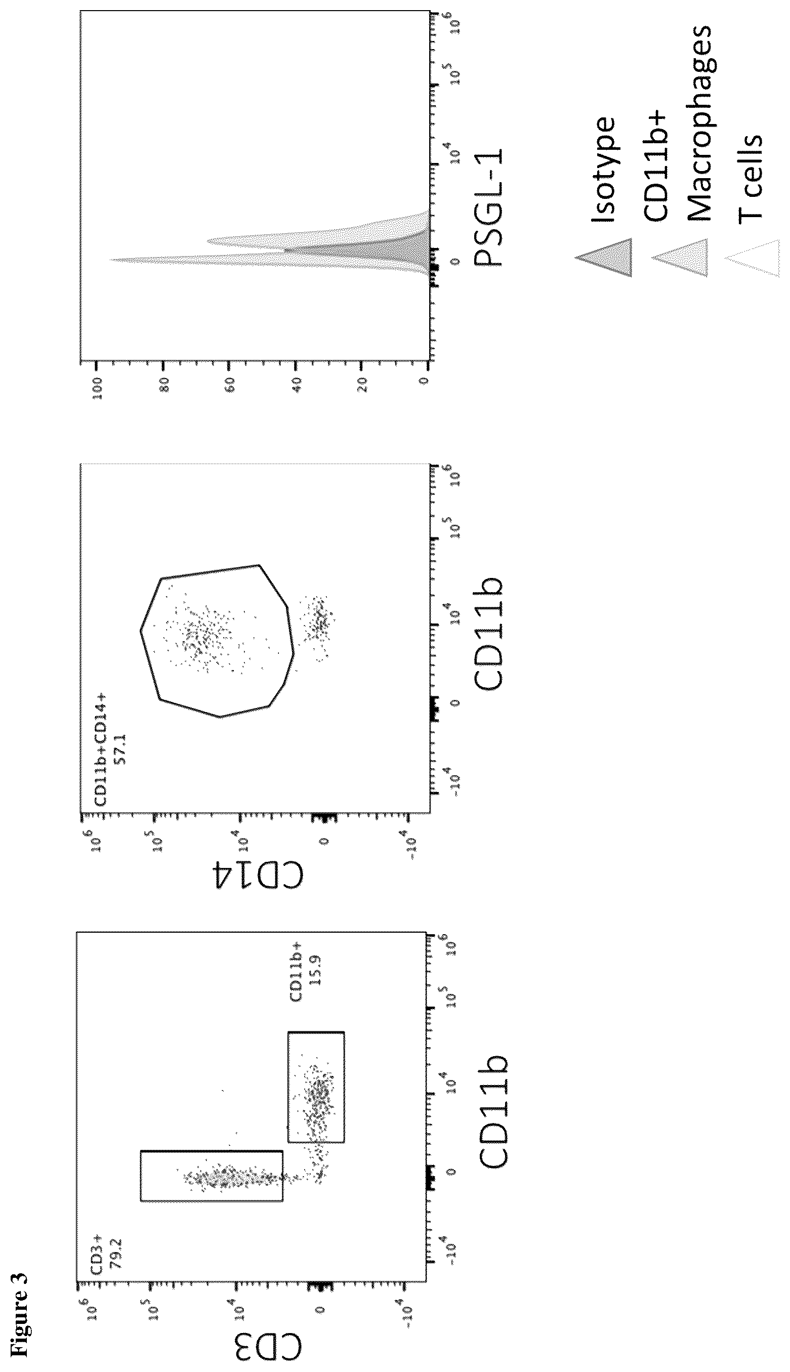 Patent US12552873 Figure 3 – Anti-PSGL-1 compositions and methods for modulating myeloid cell inflammatory phenotypes and uses thereof