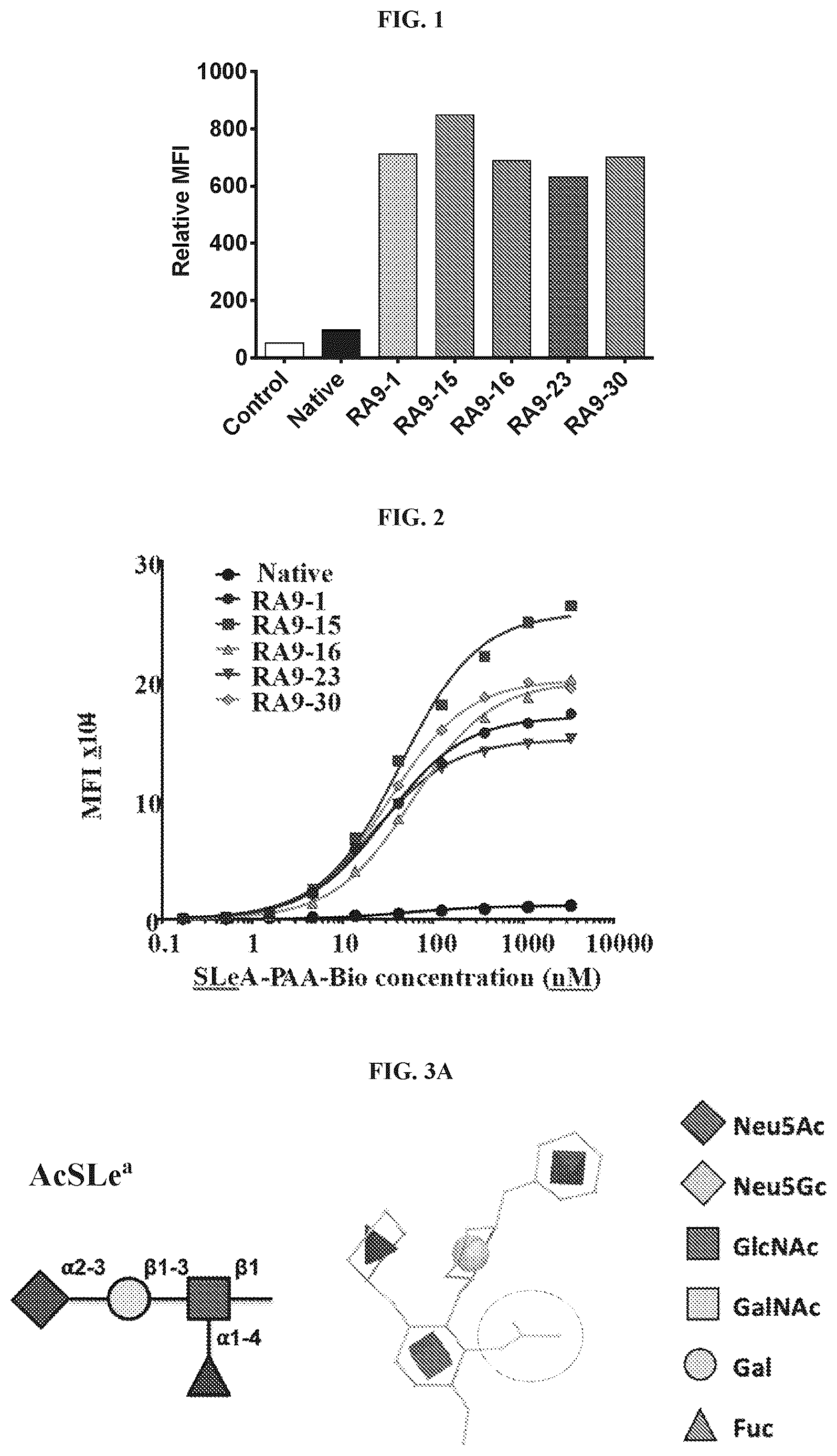 Patent US12552874 Figure 1 – Antibodies to carbohydrate antigens