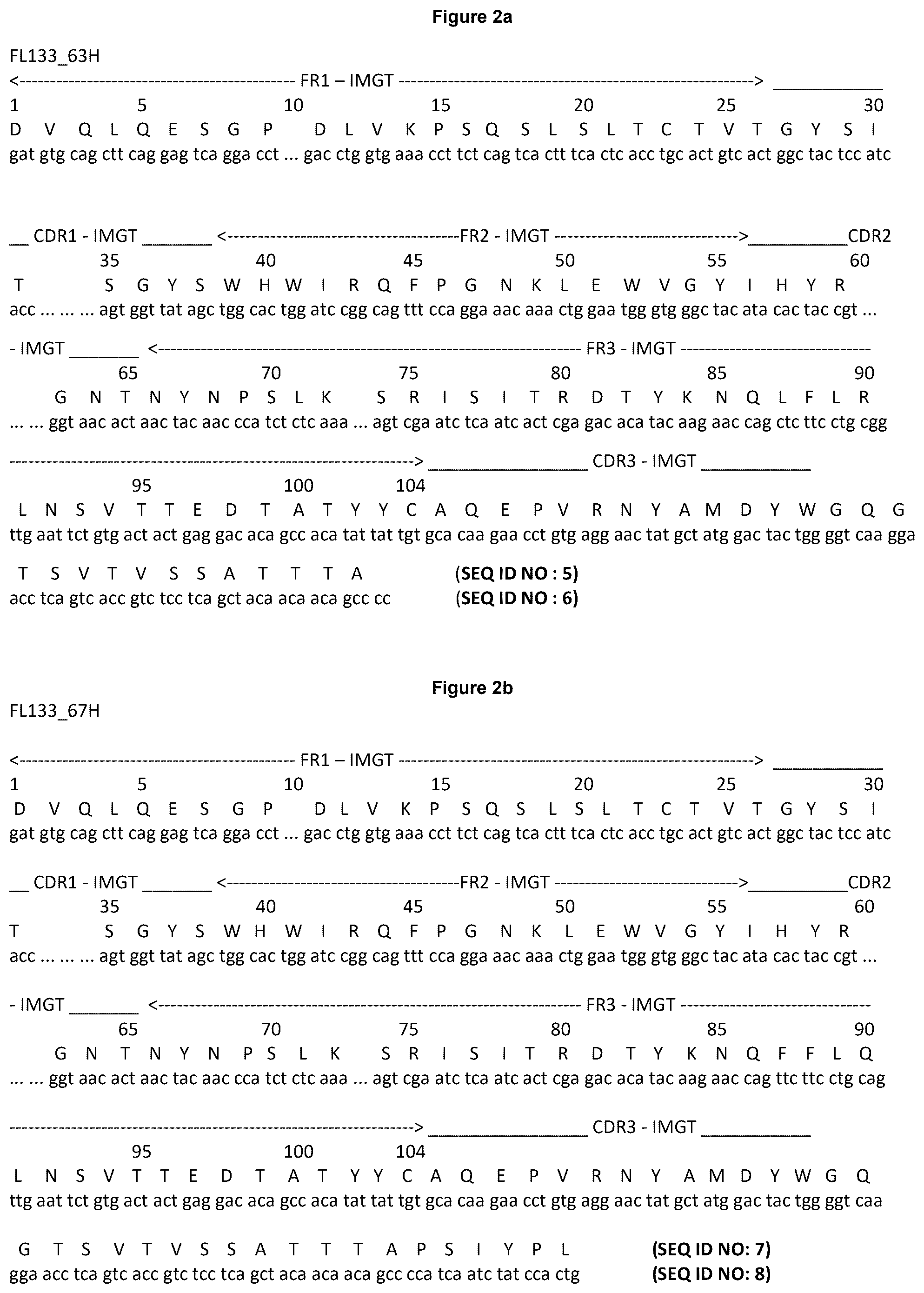 Patent US12552876 Figure 2 – Anti-fucosyl-GM1 antibodies