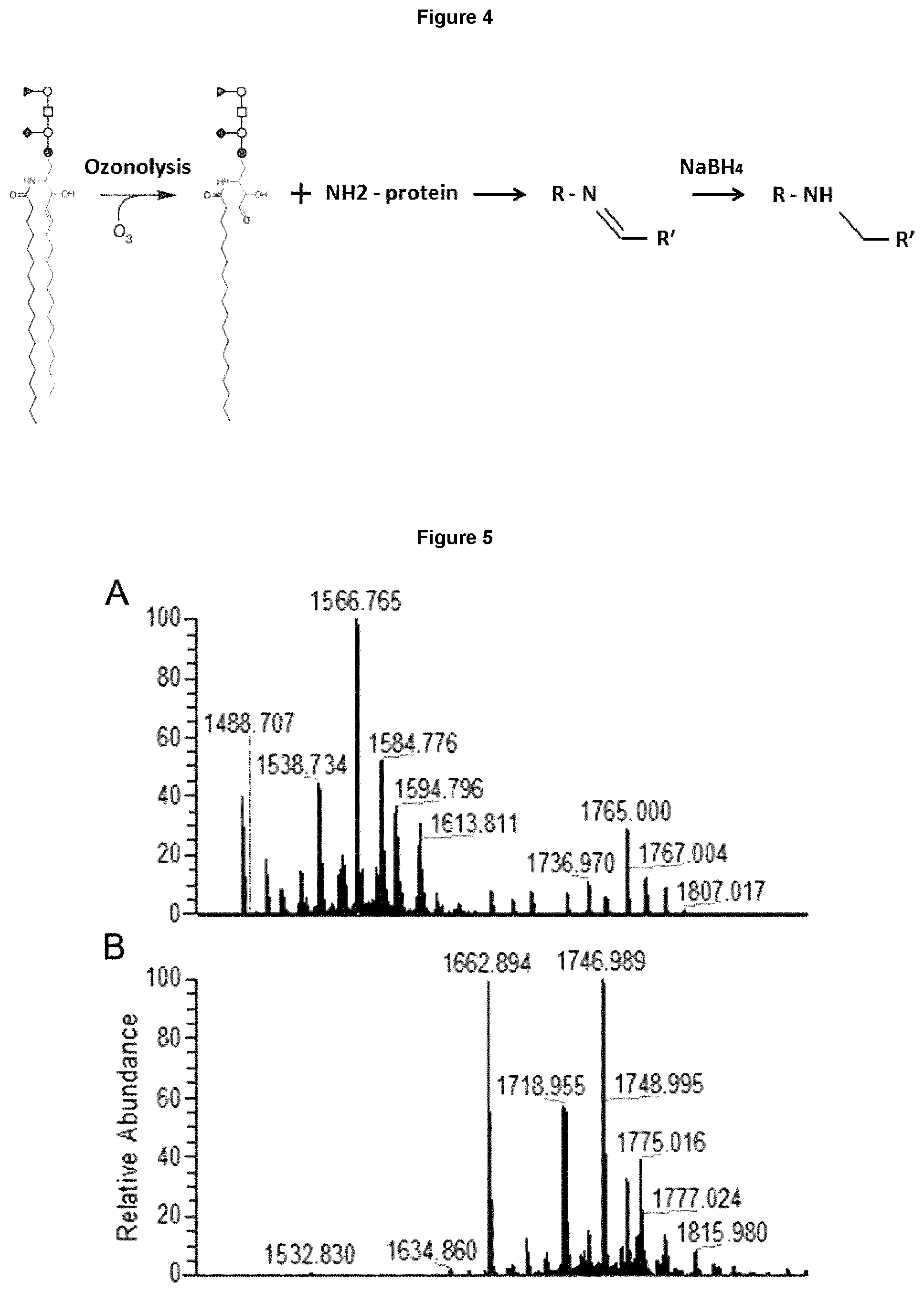 Patent US12552876 Figure 6 – Anti-fucosyl-GM1 antibodies