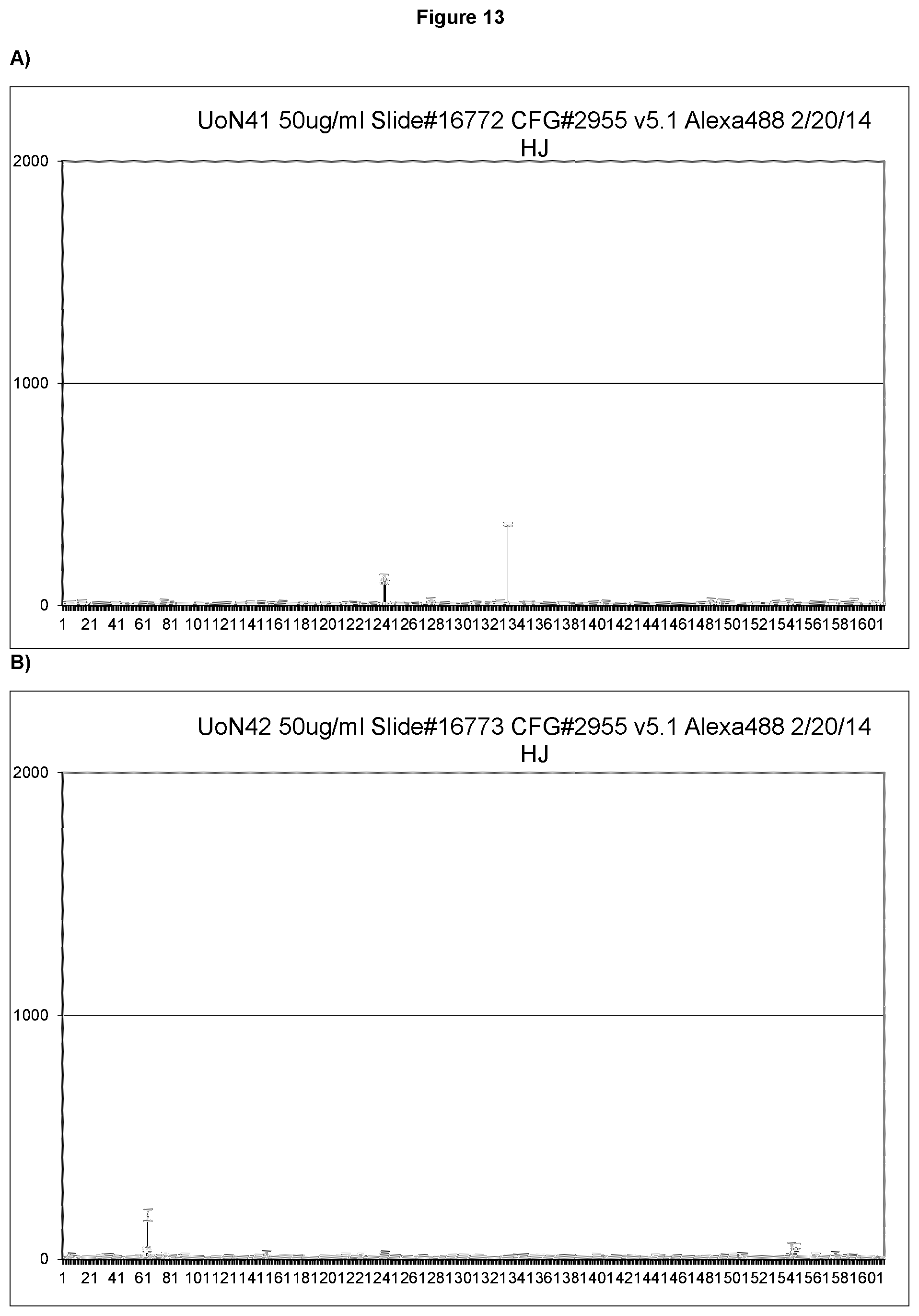 Patent US12552876 Figure 13 – Anti-fucosyl-GM1 antibodies