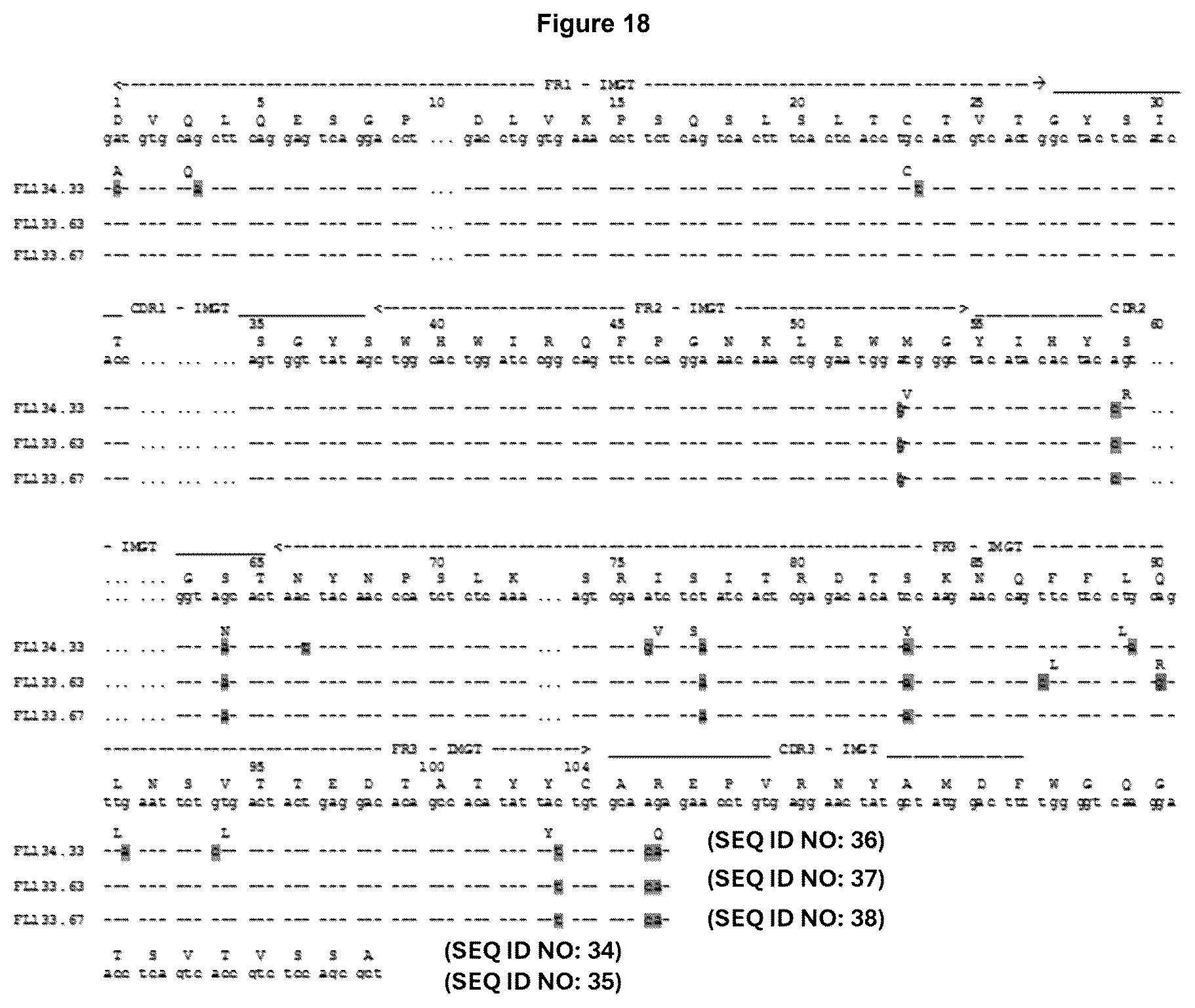 Patent US12552876 Figure 18 – Anti-fucosyl-GM1 antibodies